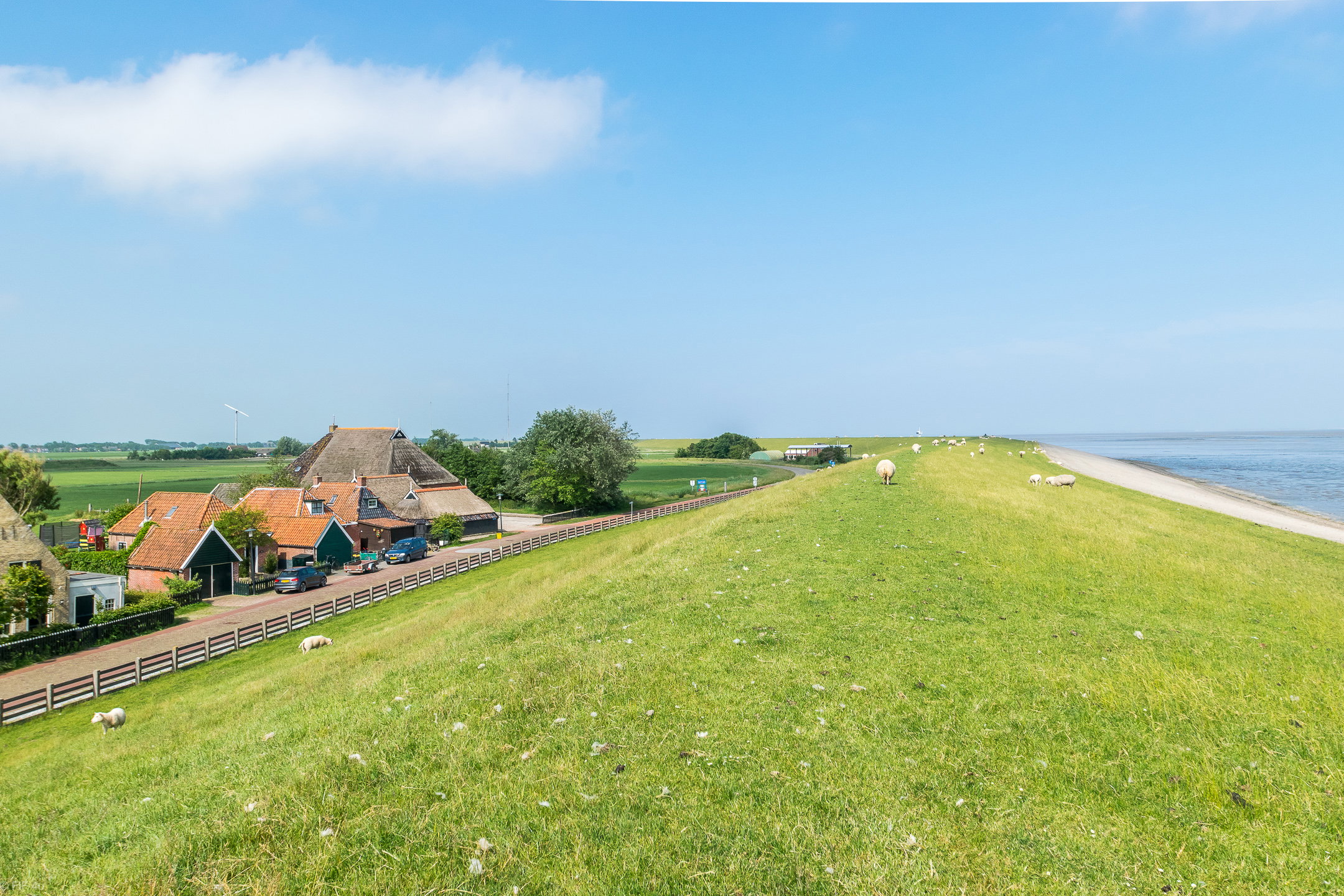 Natuurhuisje in Moddergat