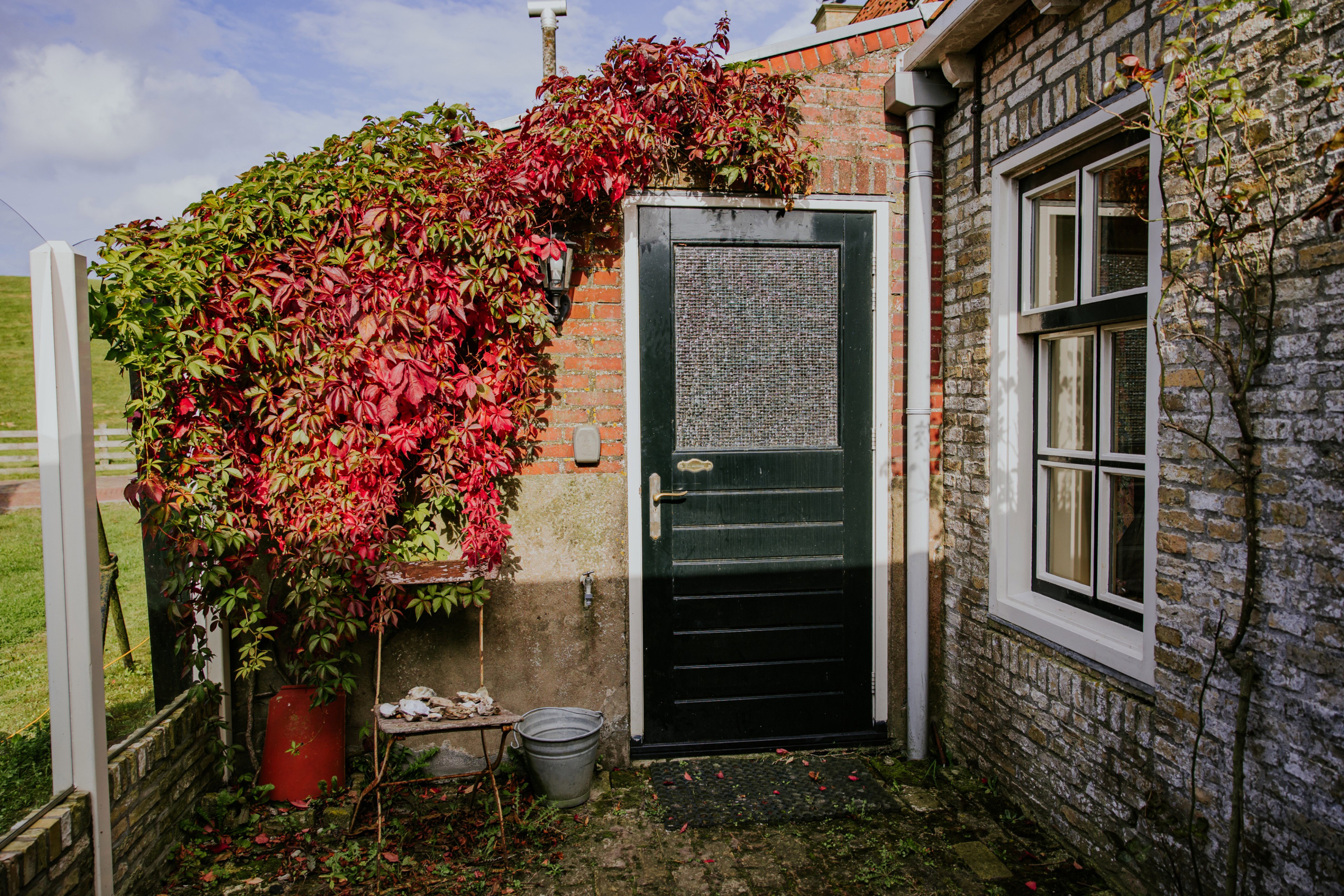 Natuurhuisje in Moddergat