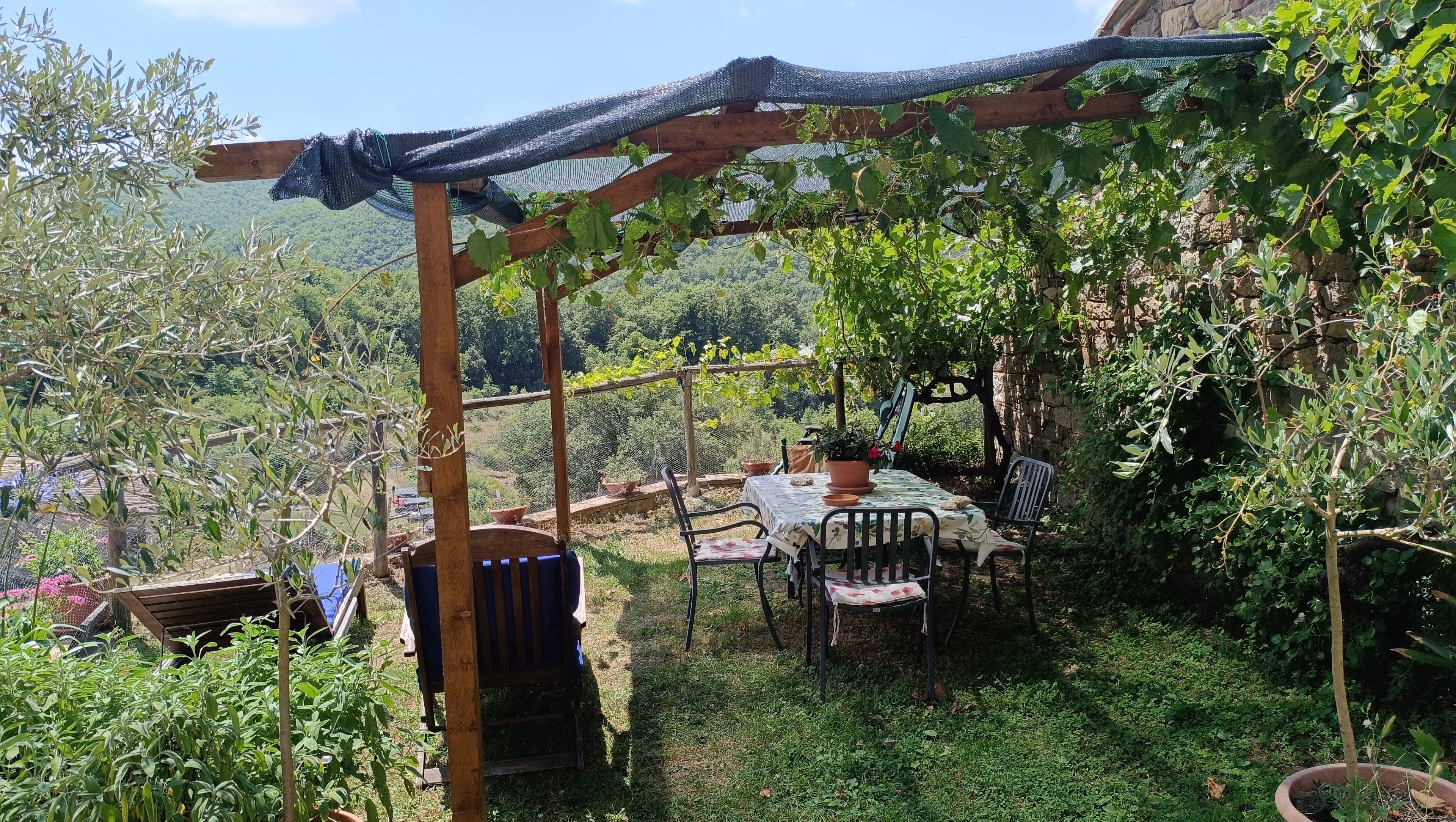 - image: 36