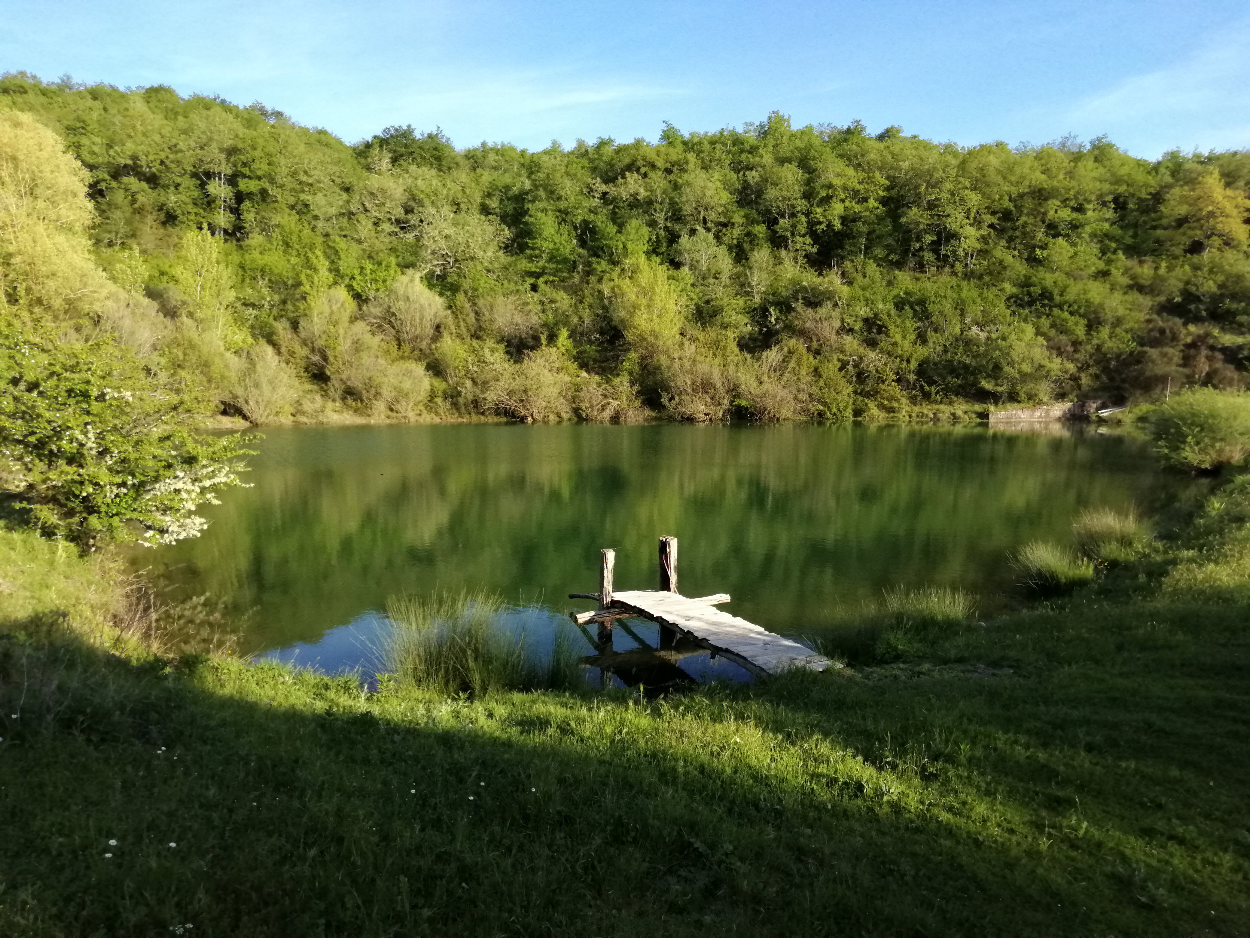 Nature house in Radda in Chianti