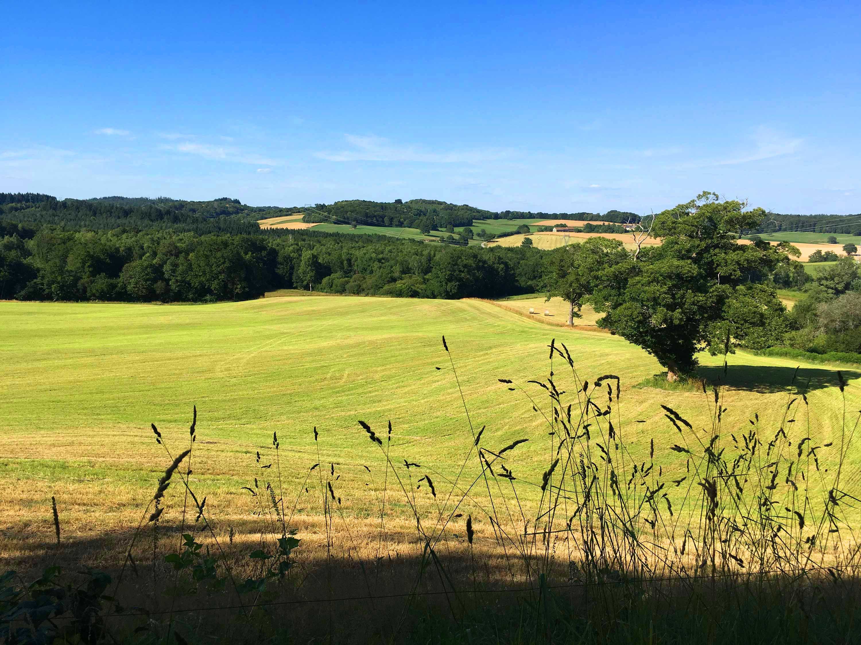 Maison nature à Saint-Dizier-Masbaraud