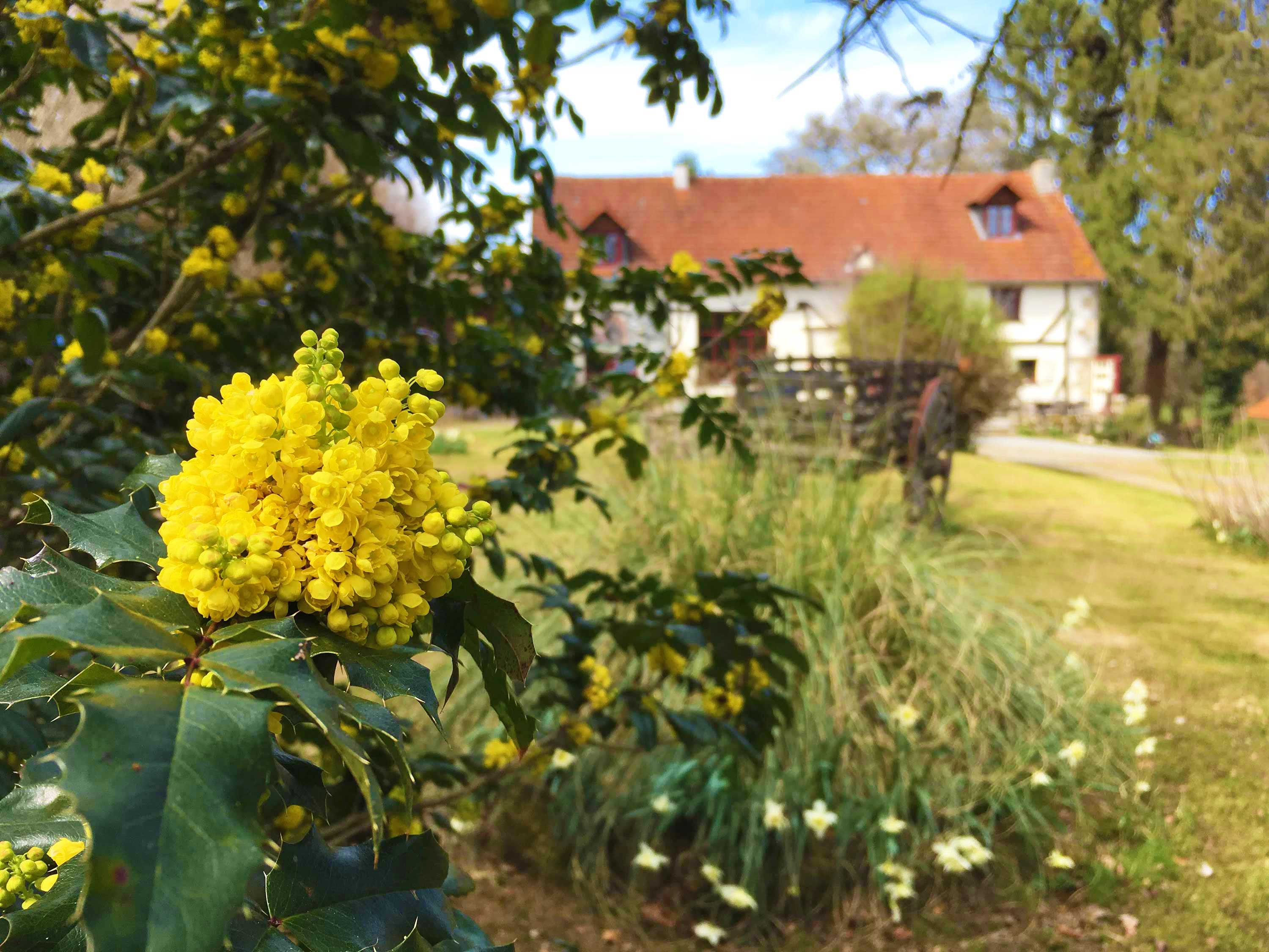 Maison nature à Saint-Dizier-Masbaraud