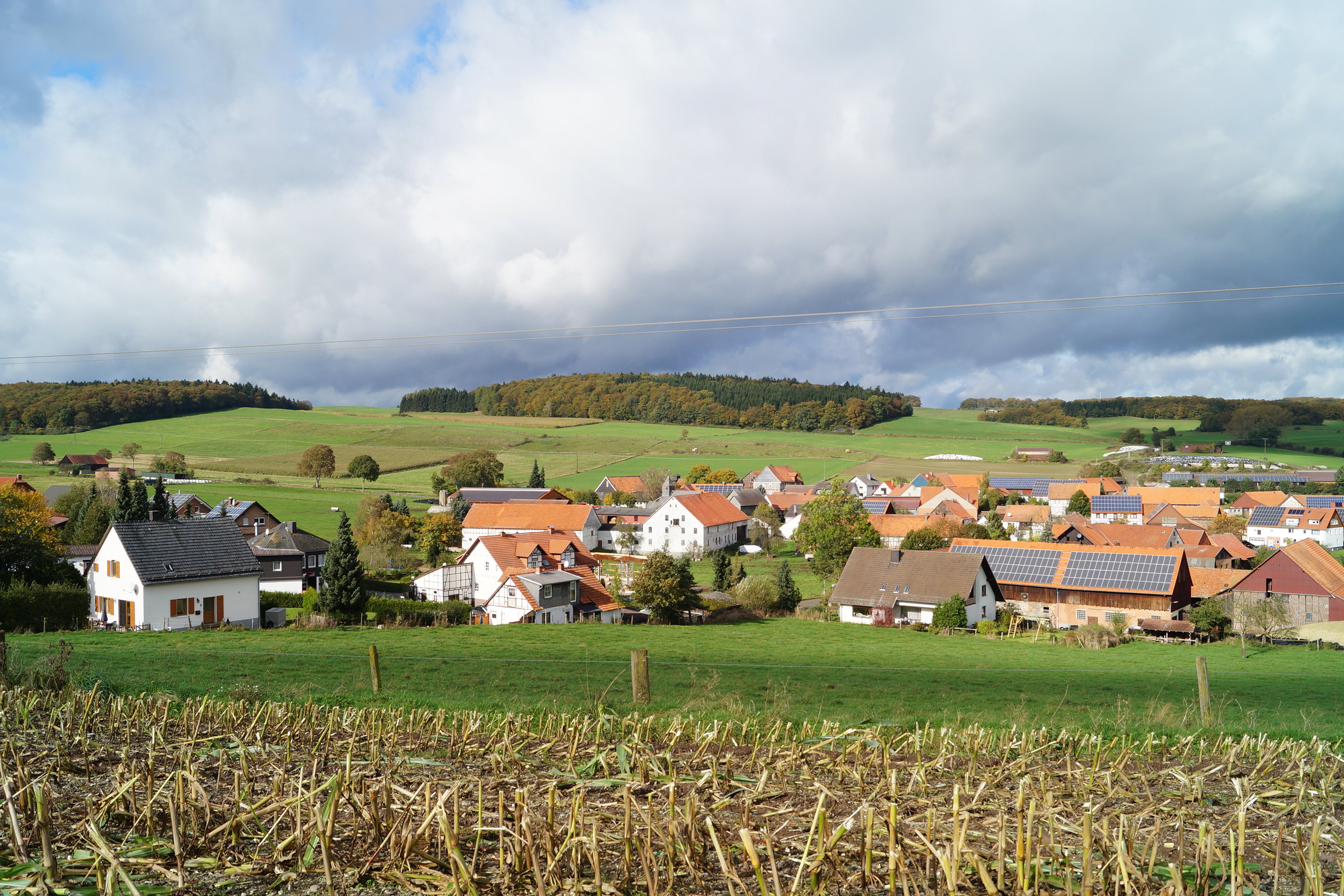 - image: 16