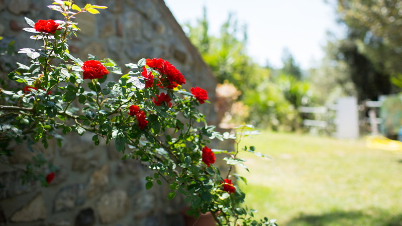 Nature house in Monterotondo Marittimo