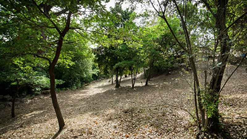Nature house in Monterotondo Marittimo
