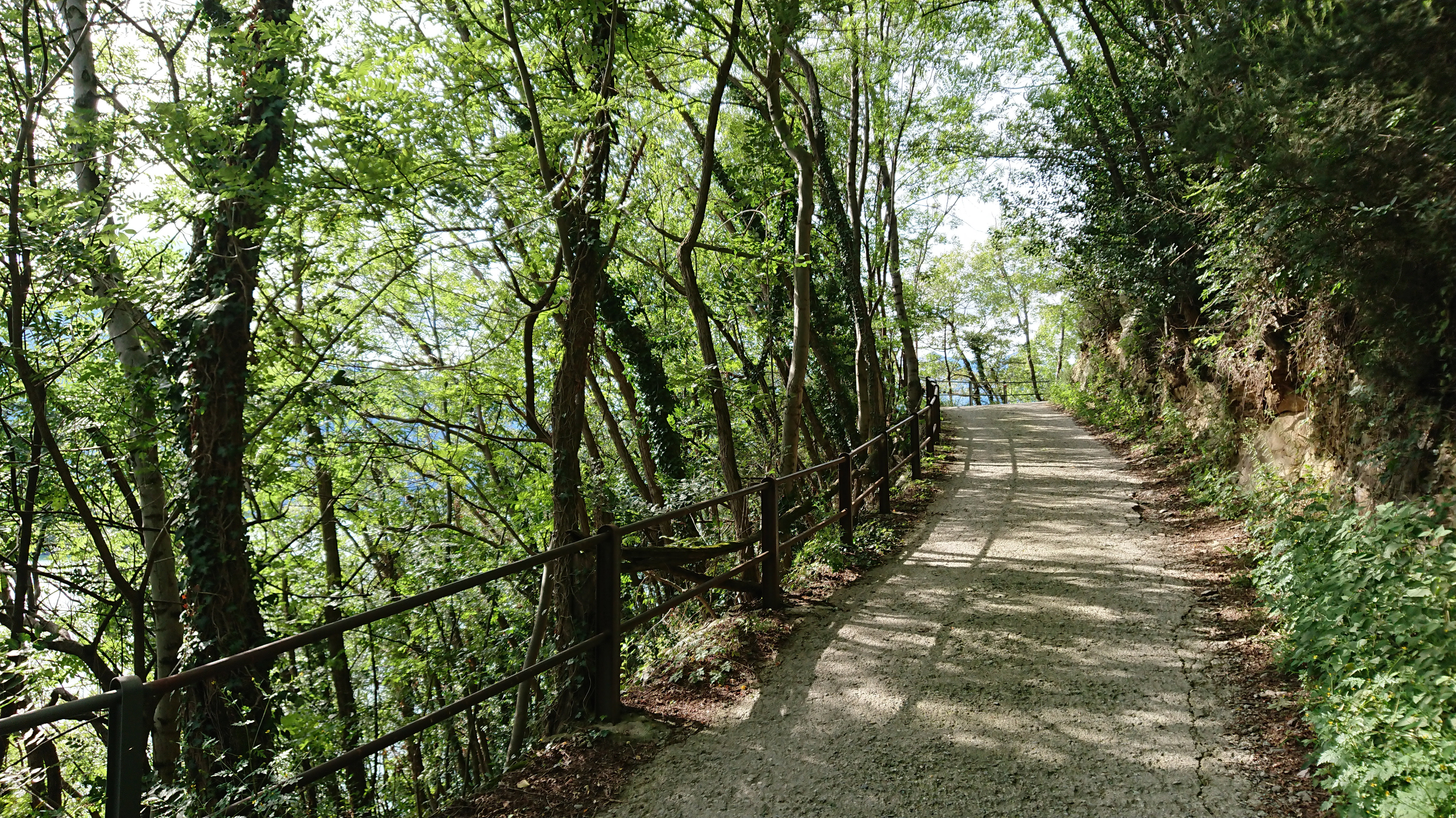 - image: 12