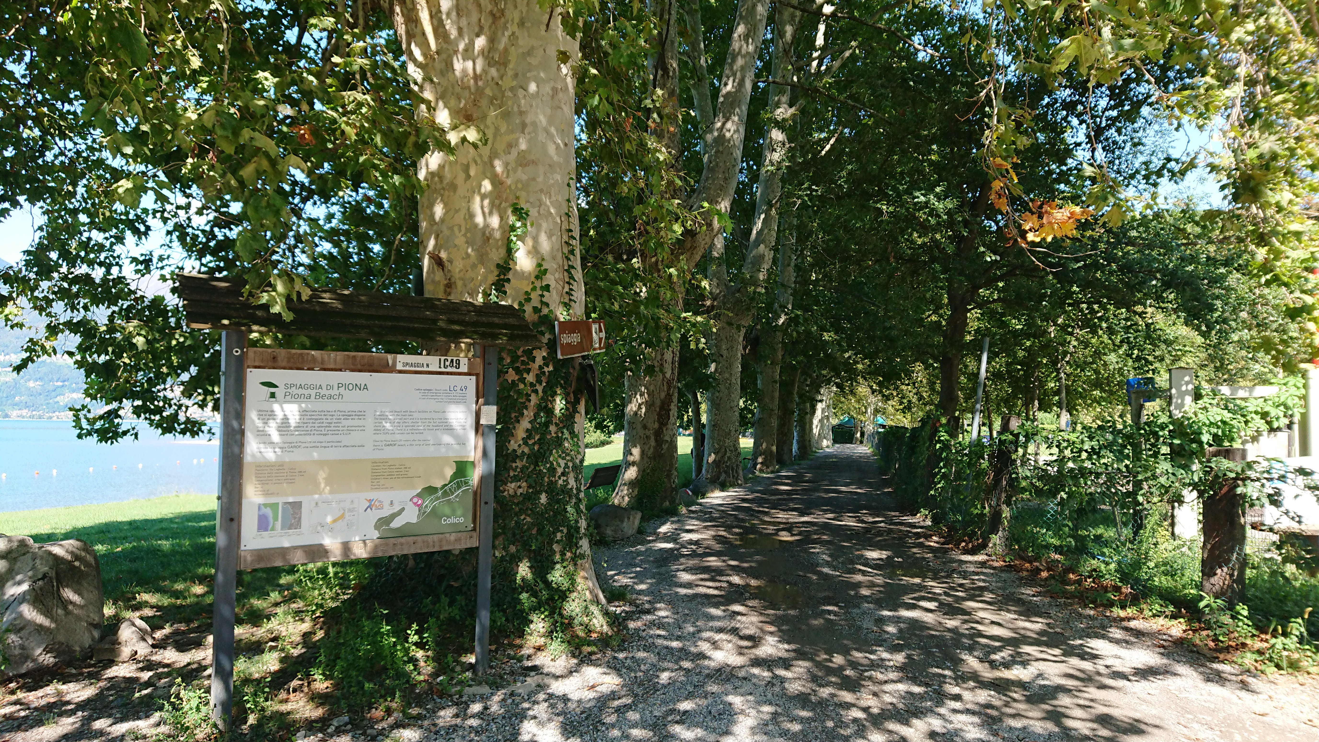 - image: 13