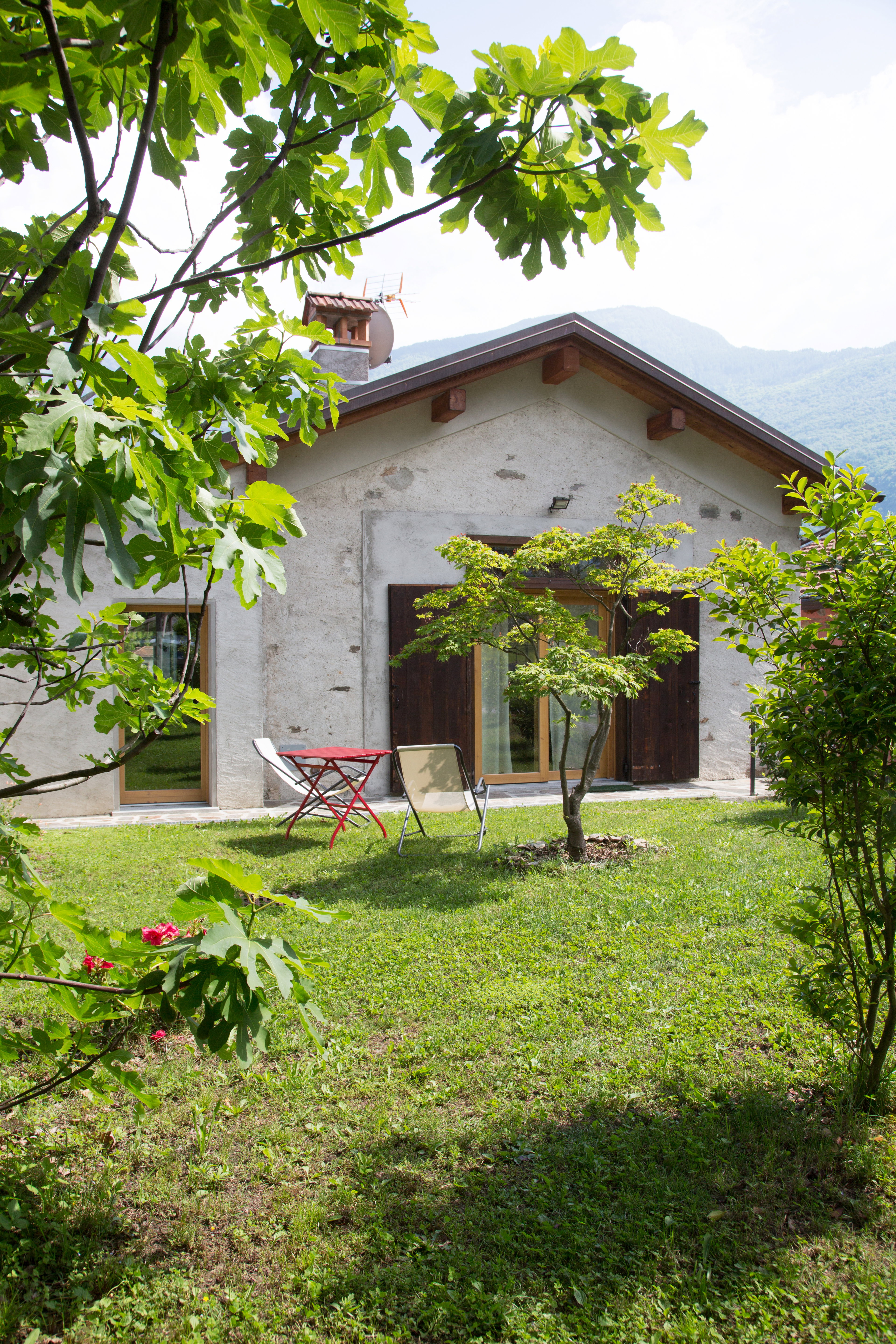 - image: 11