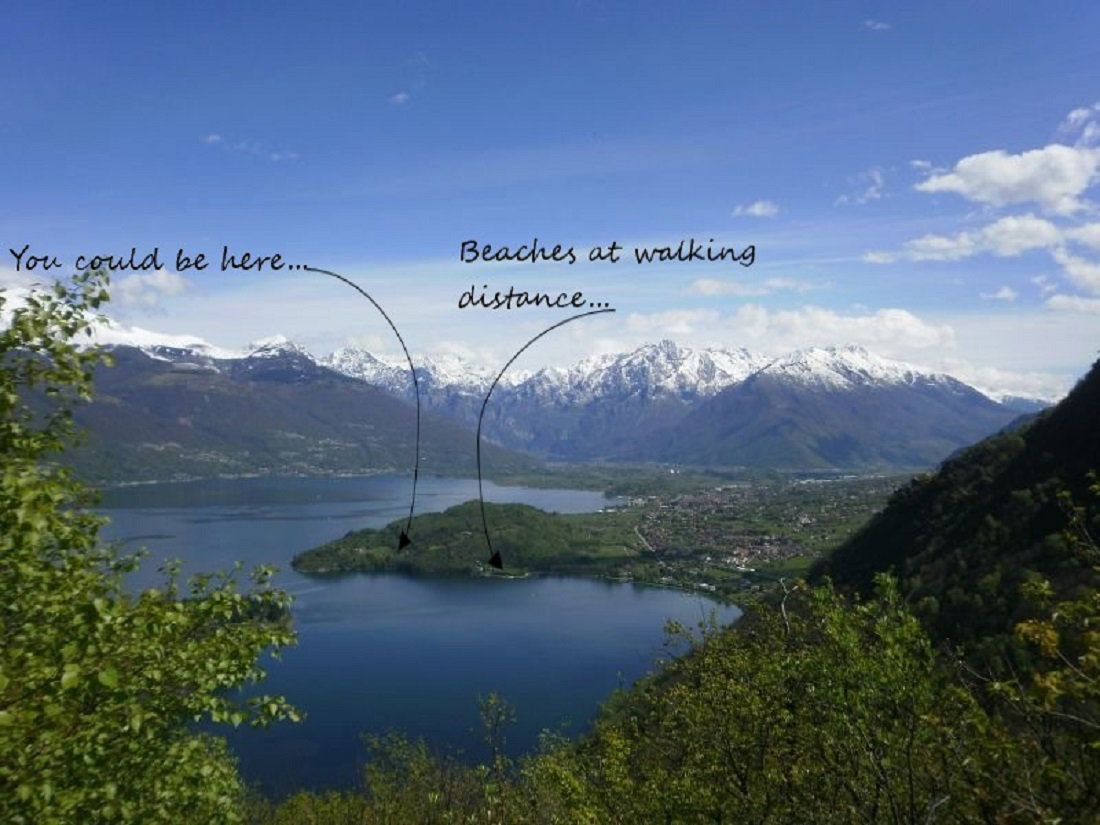 - image: 24