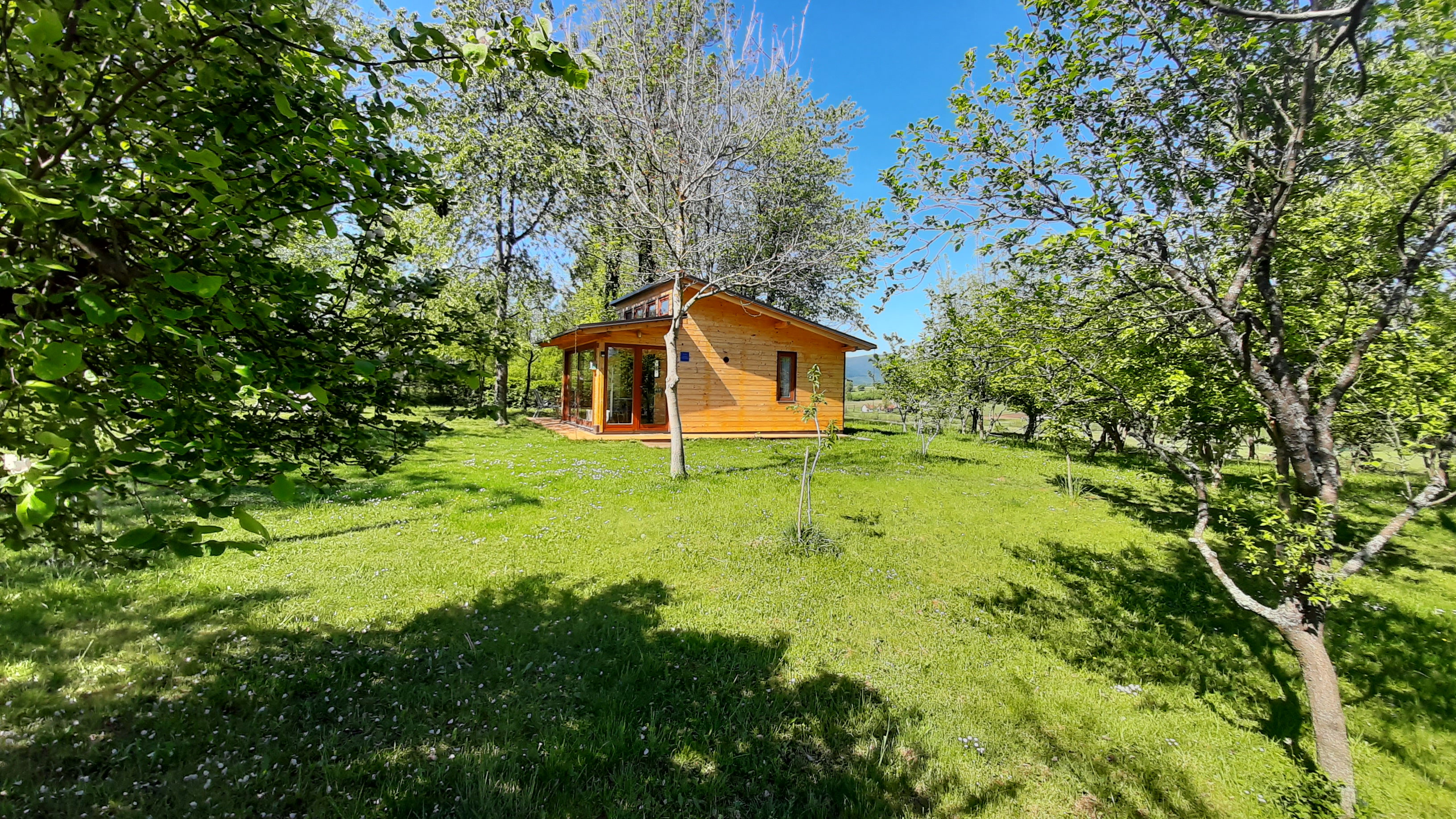 - image: 24