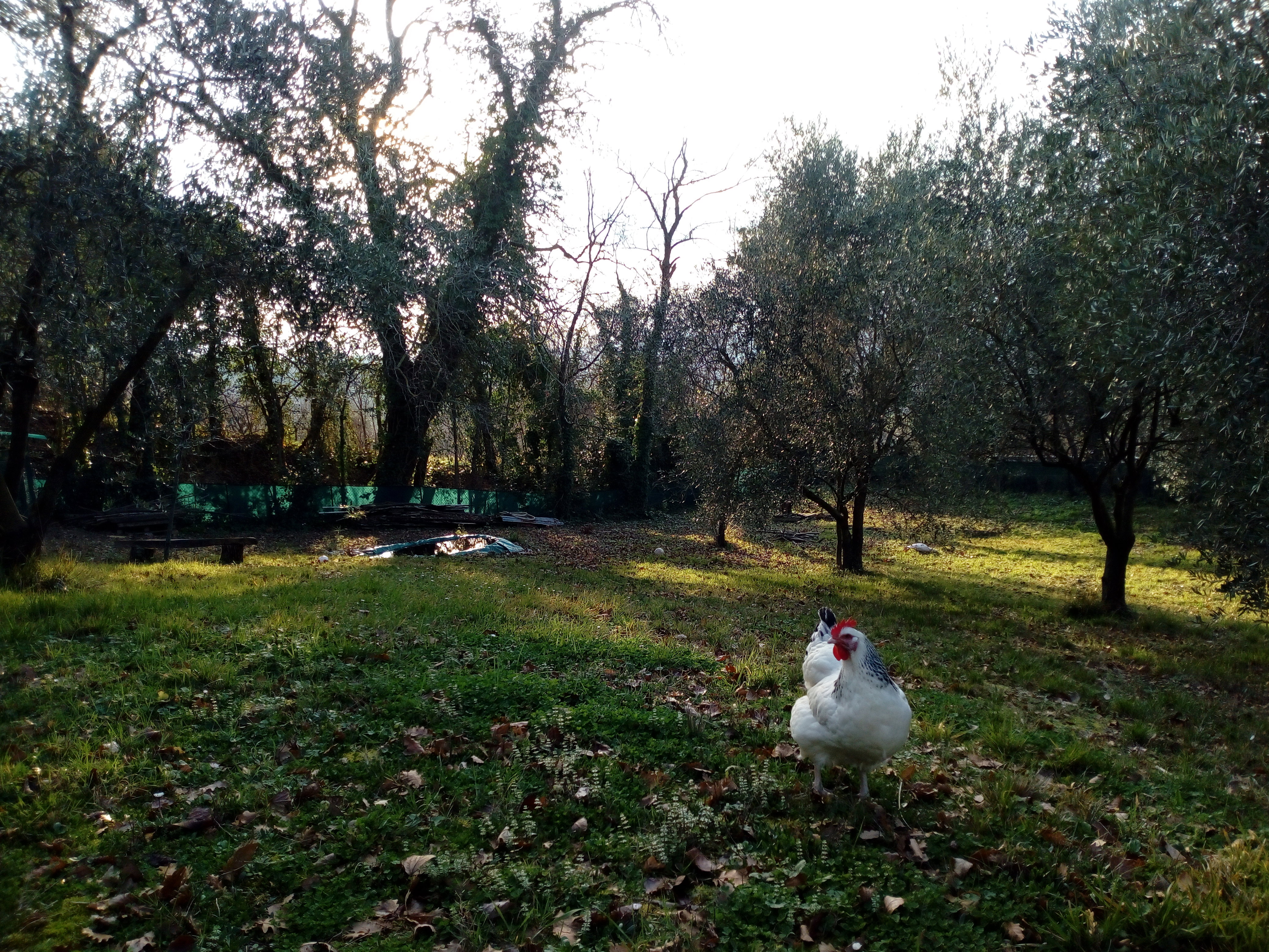 Maison nature à Corinaldo