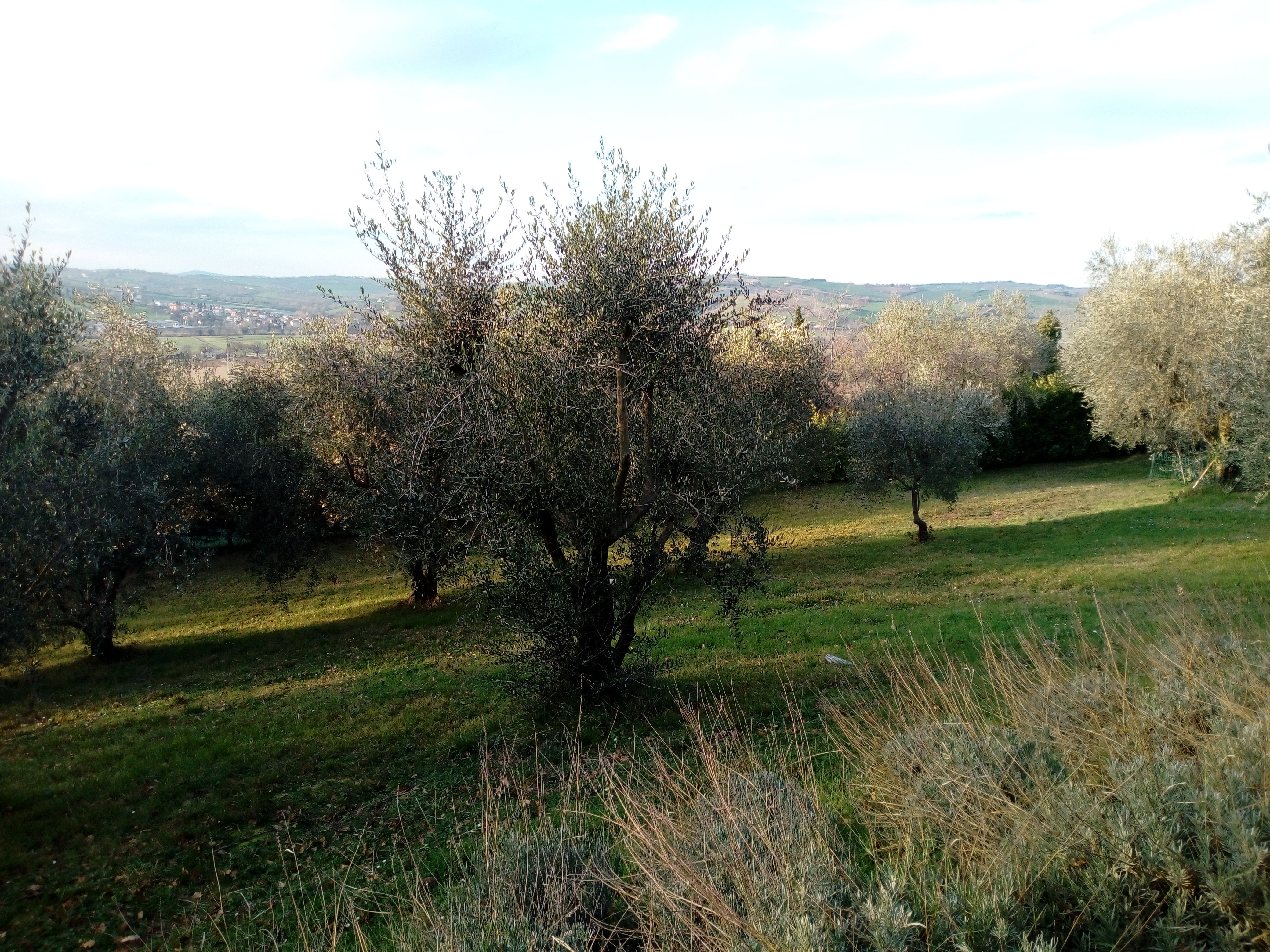 - image: 12