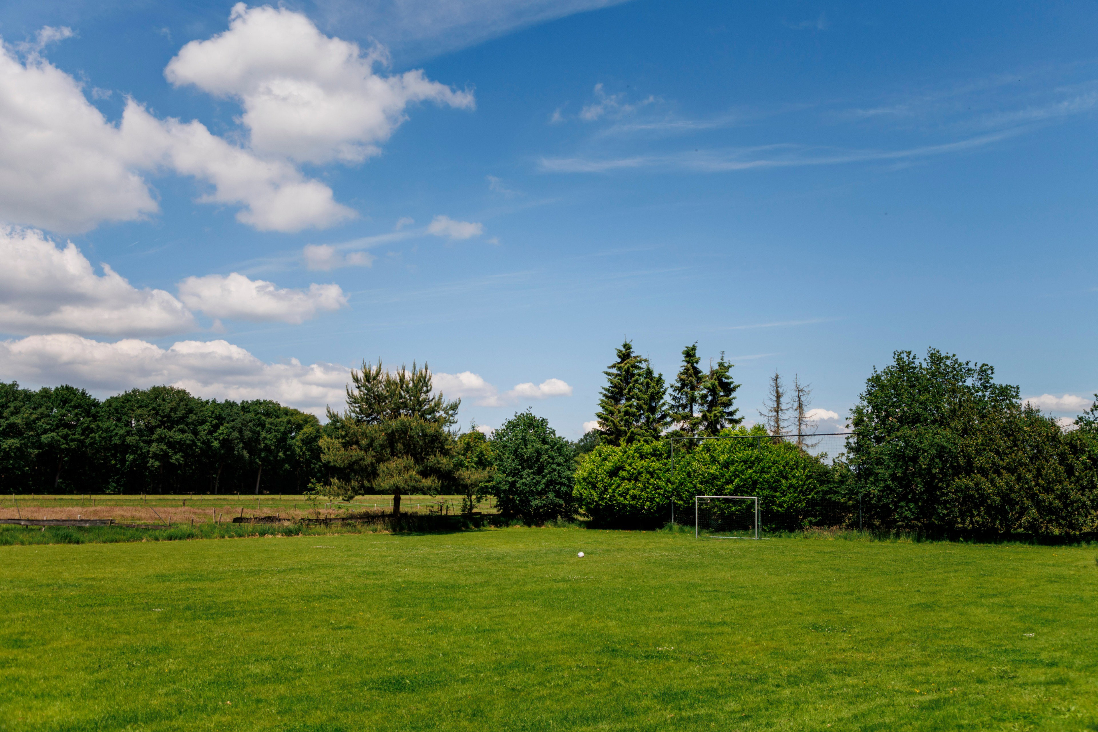 - image: 56