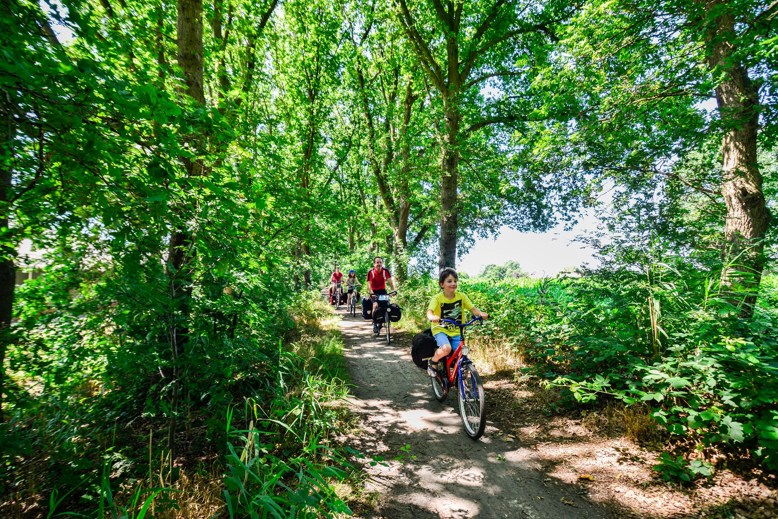 - image: 45