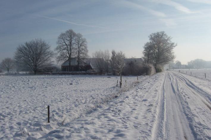- image: 17
