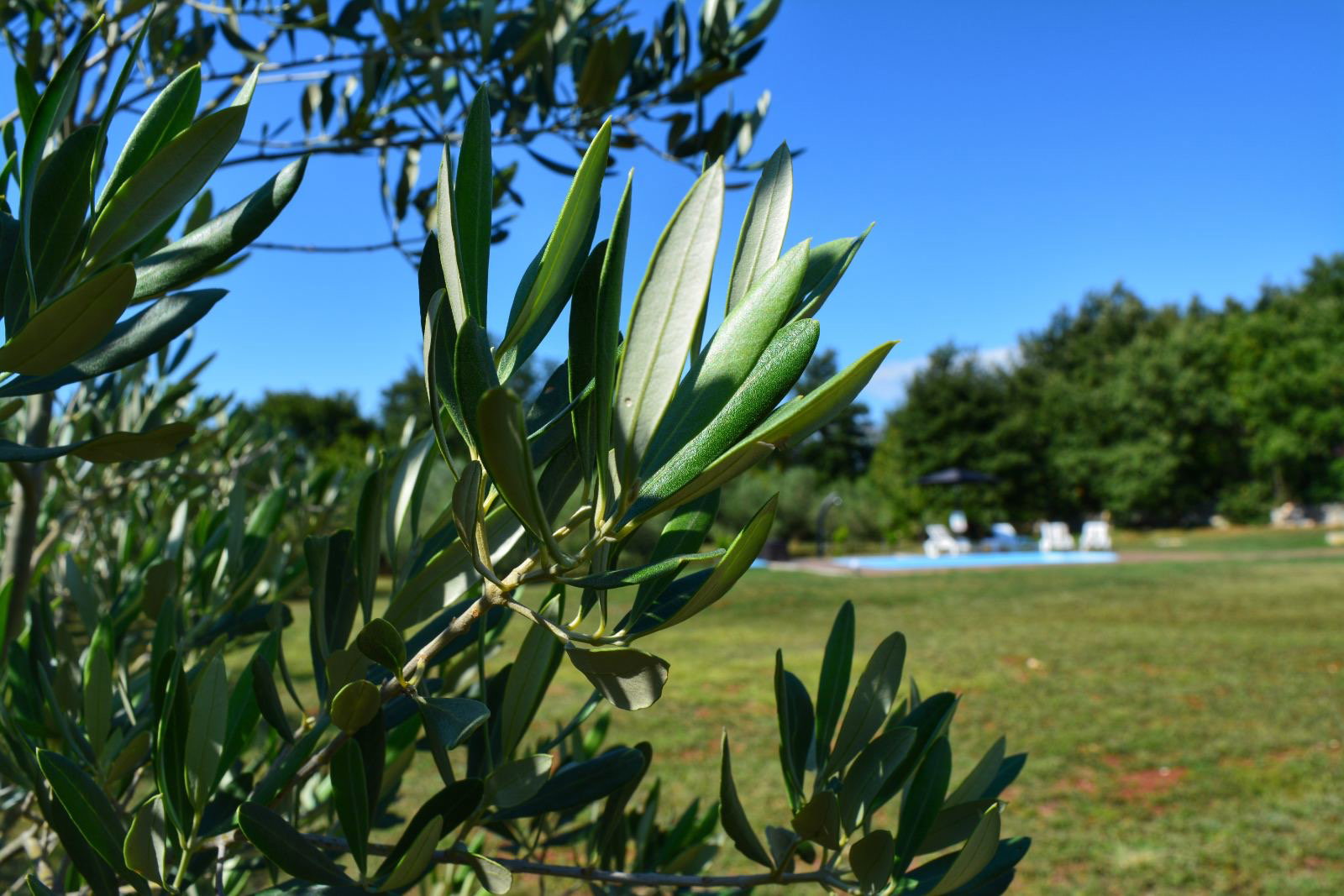 Natuurhuisje in Radetići