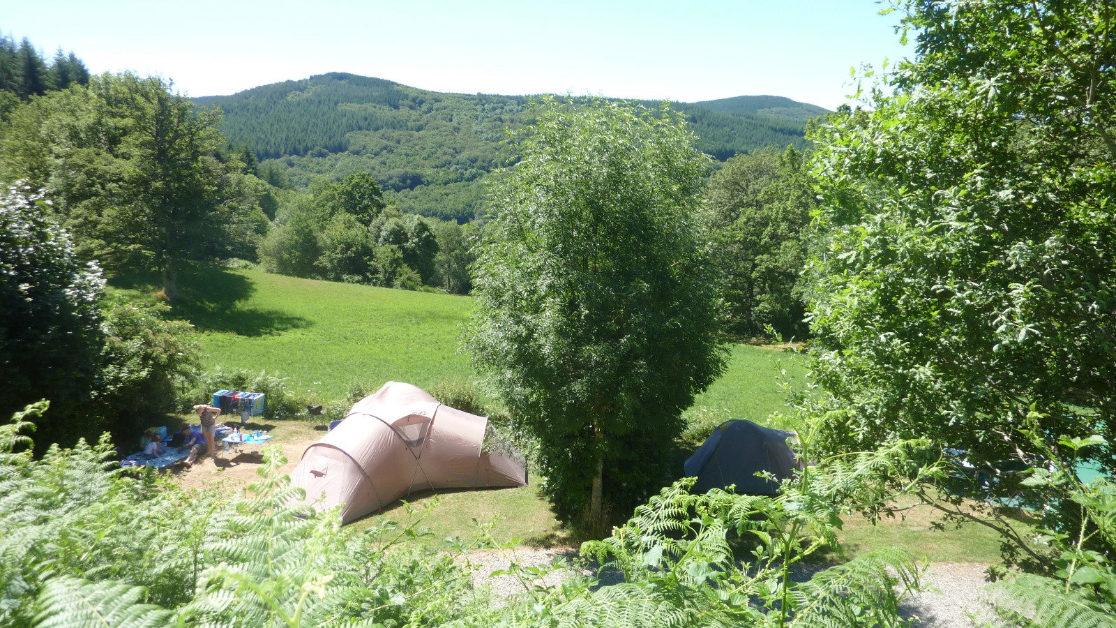 Natuurhuisje in nages
