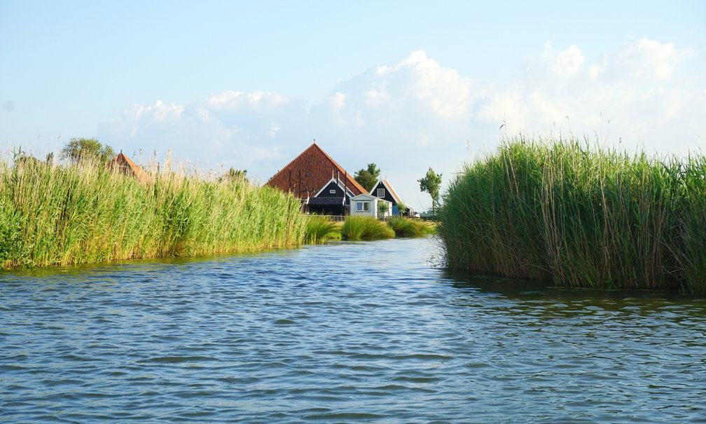 - image: 26