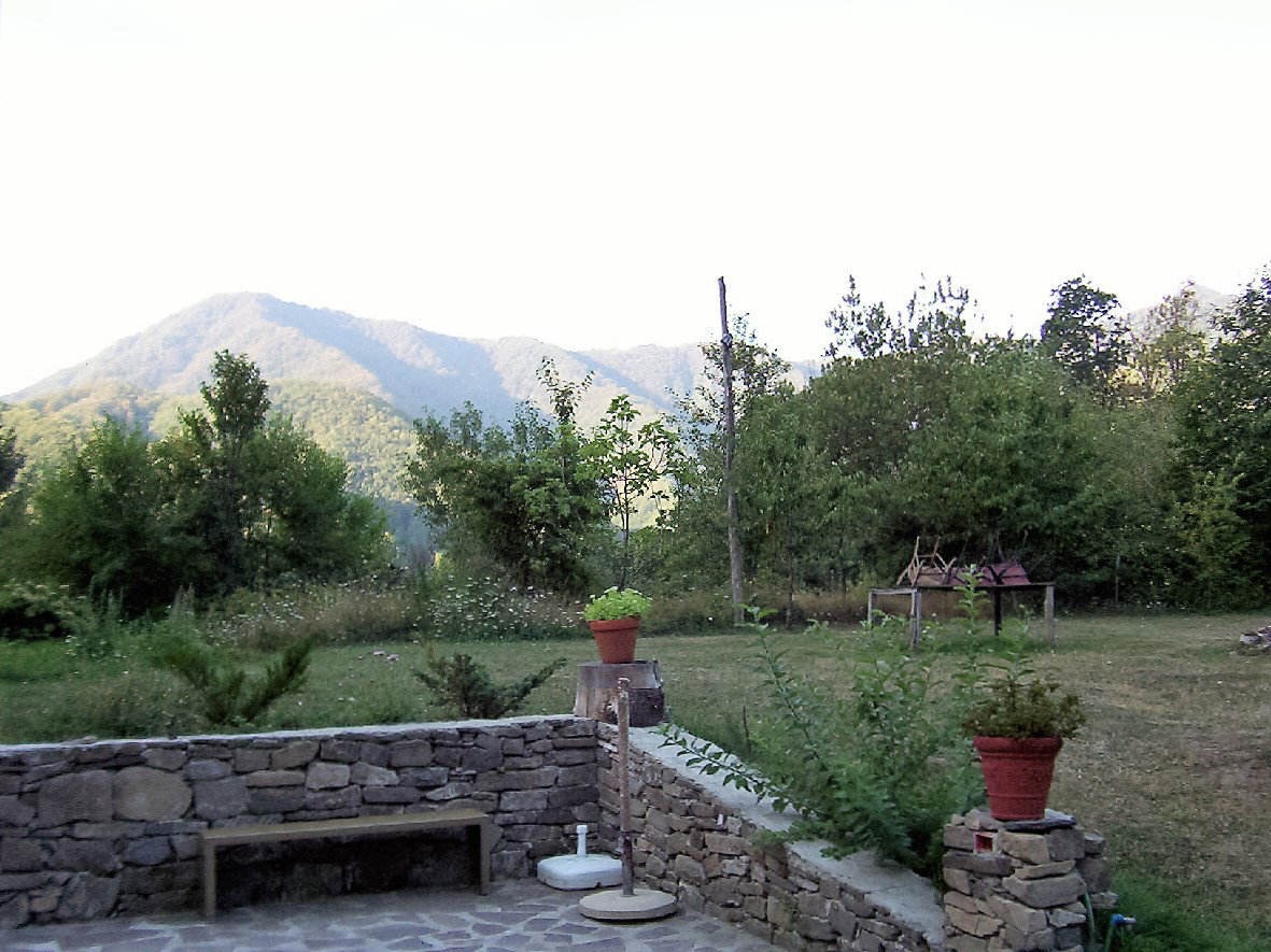 - image: 40