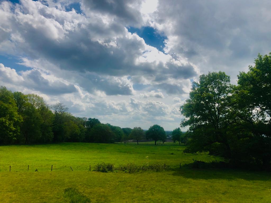 Maison nature à Holten