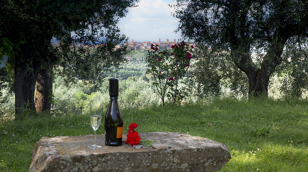 Maison nature à Monte San Savino