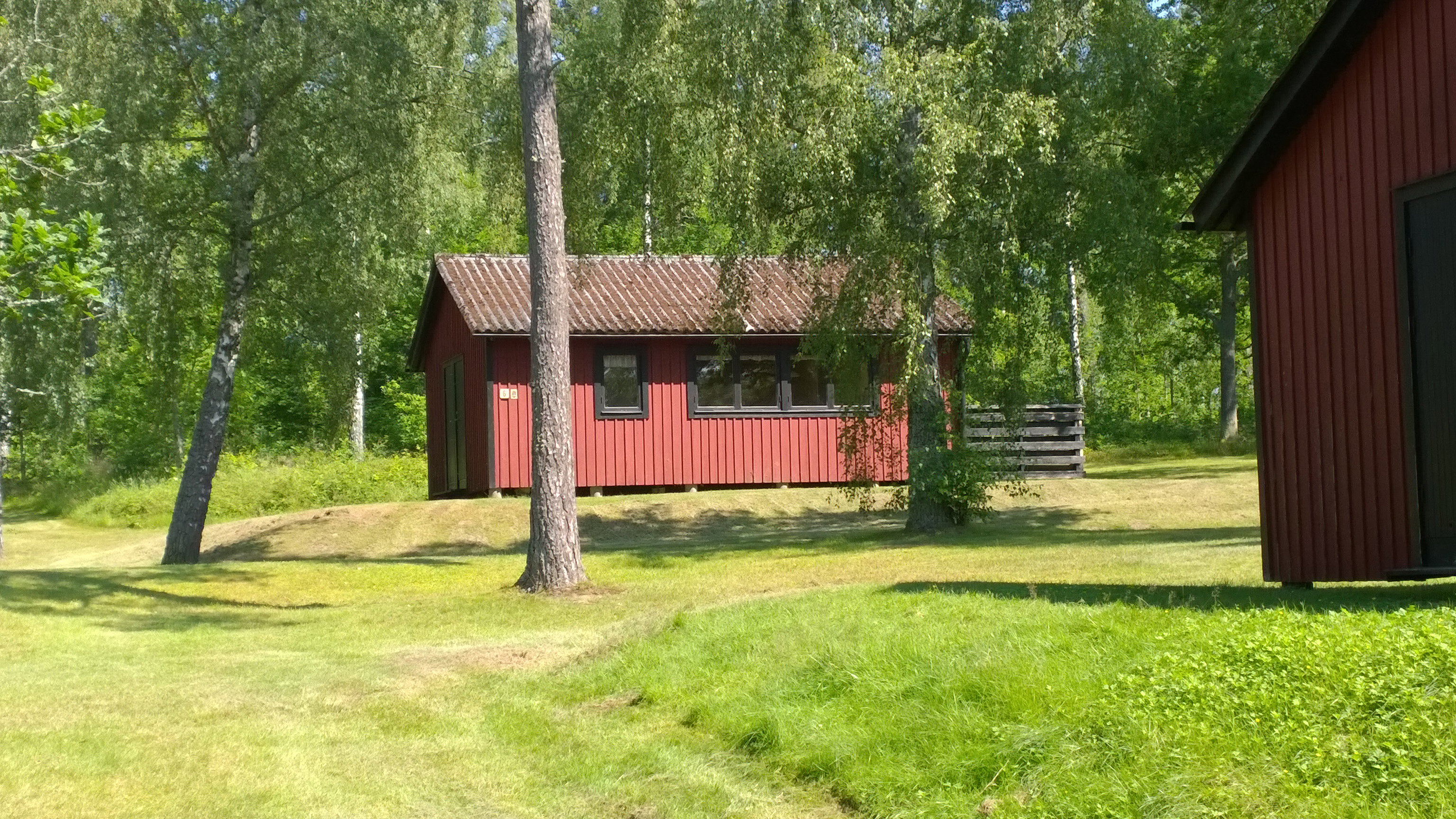 - image: 1