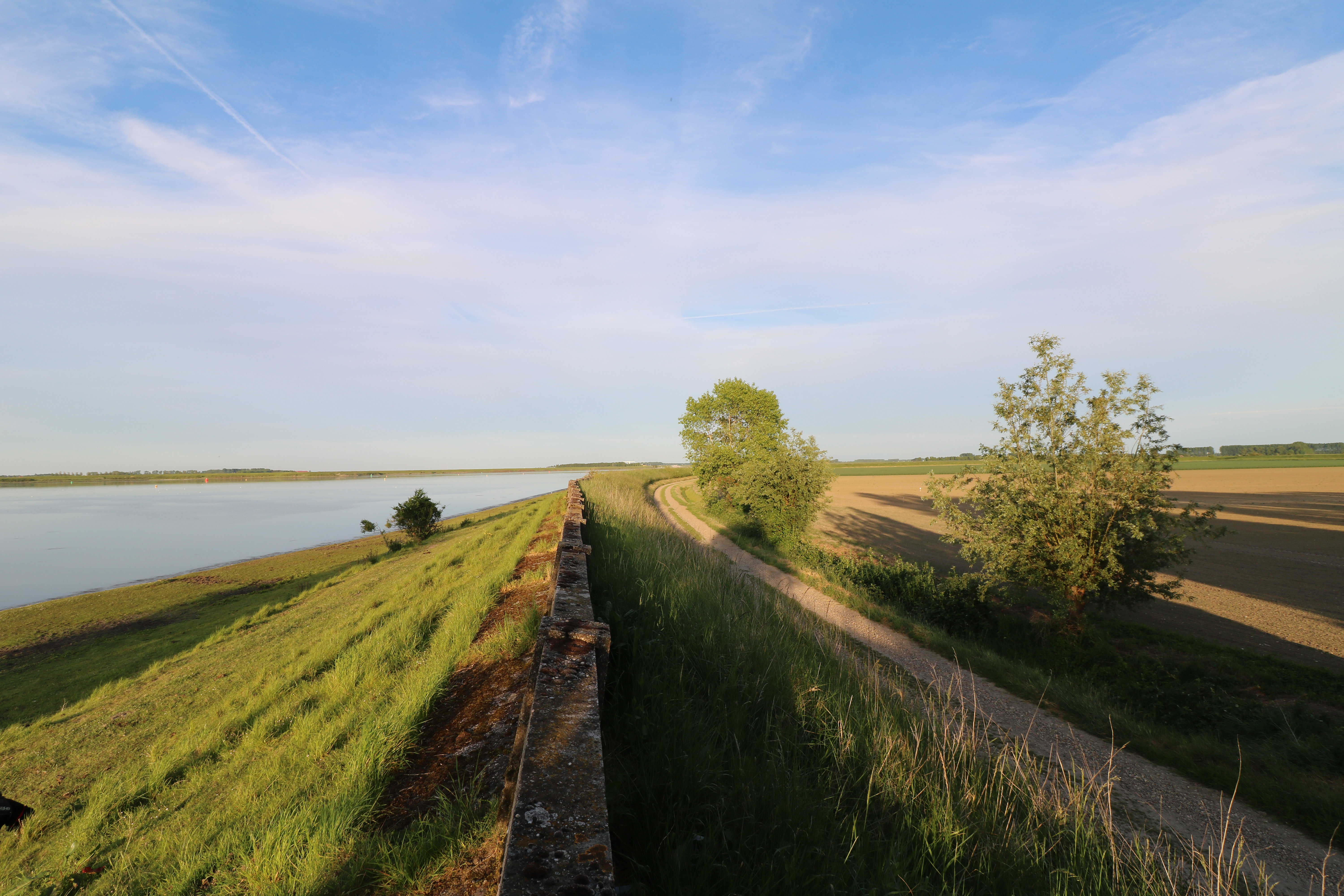 Natuurhuisje in Wolphaartsdijk