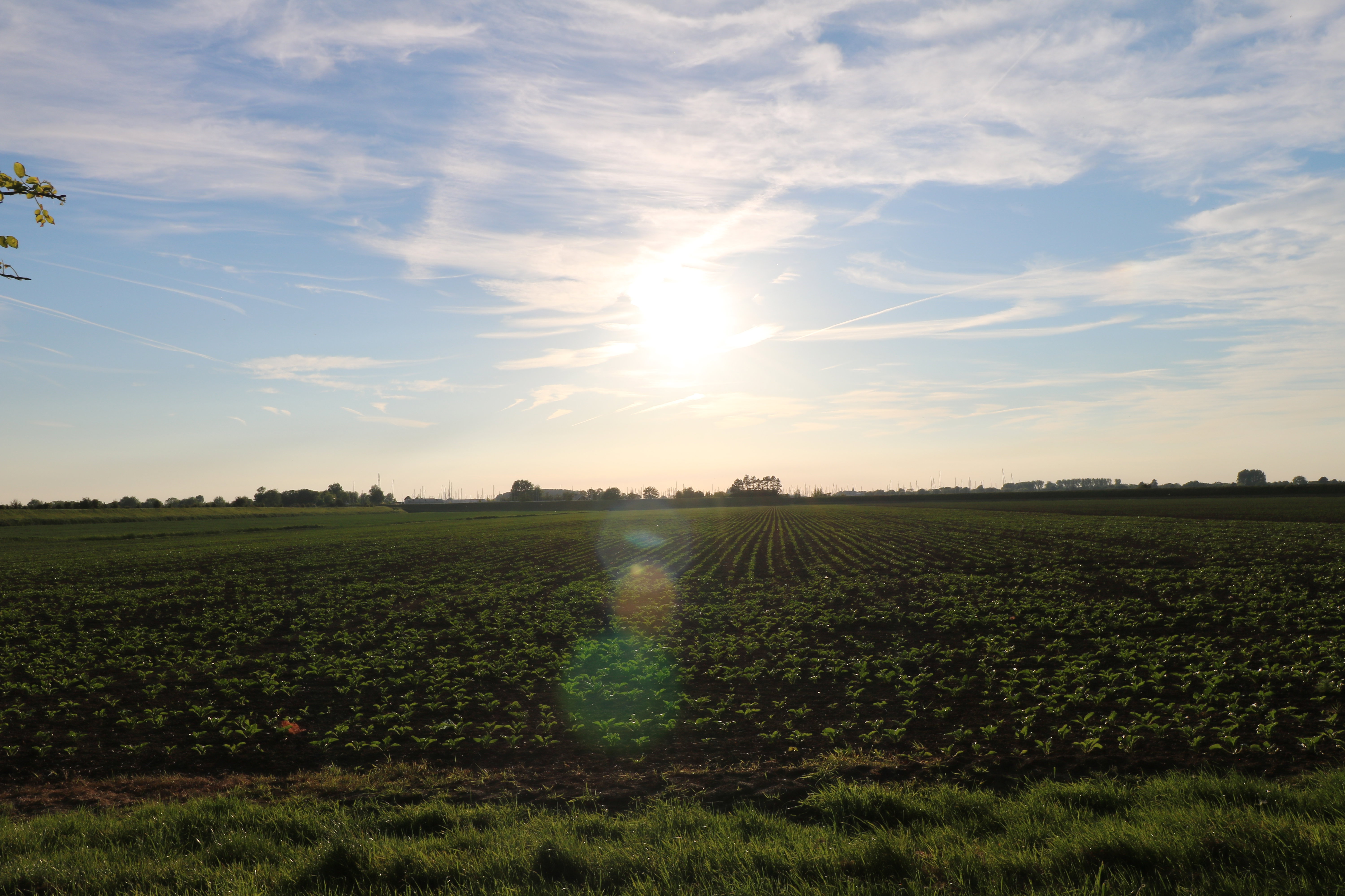 Natuurhuisje in Wolphaartsdijk