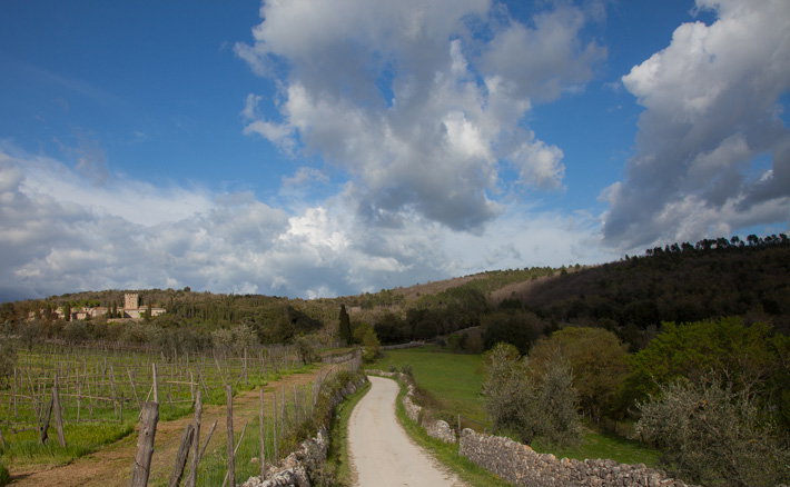 Natuurhuisje in Spannocchia