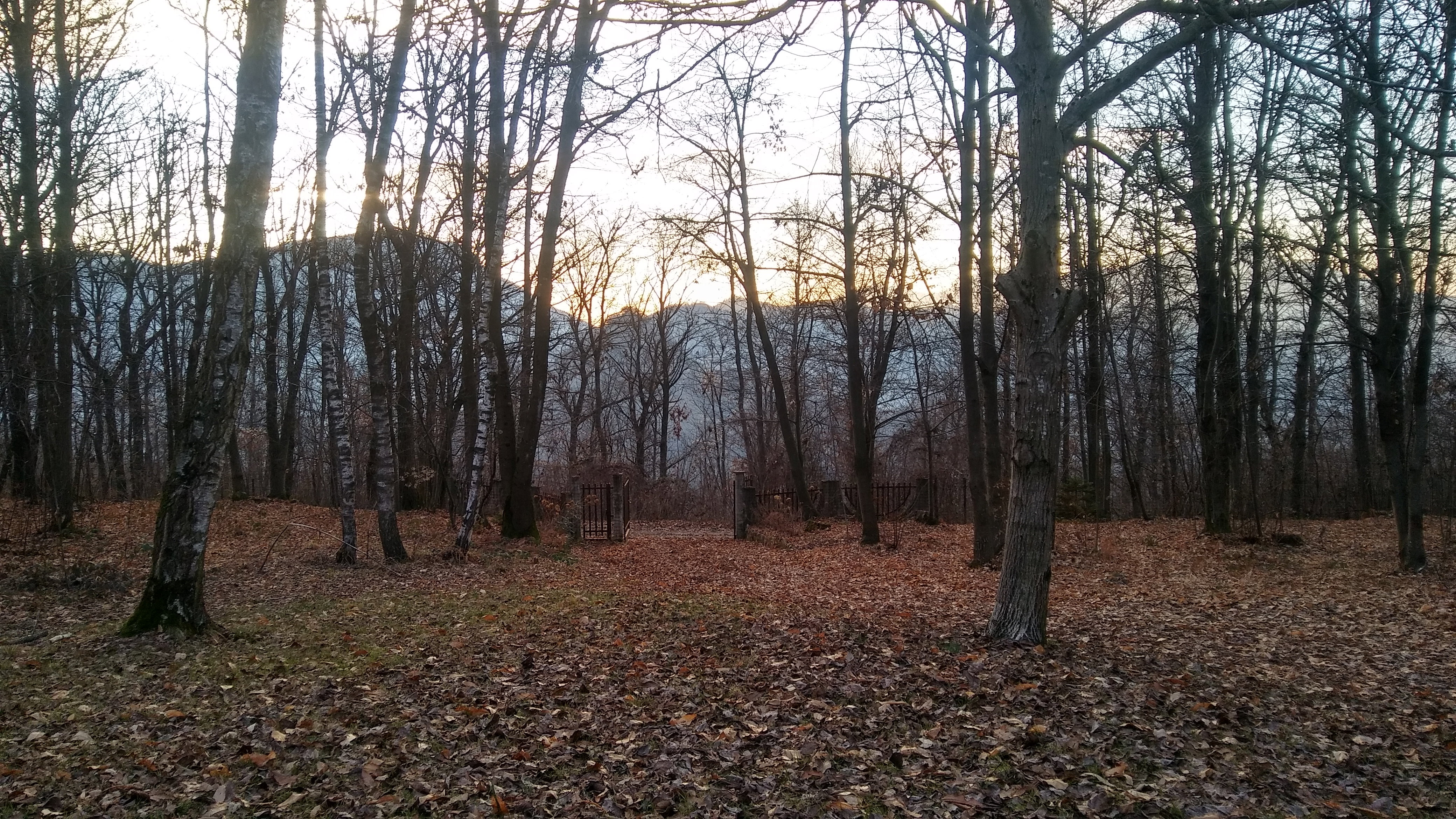 - image: 11