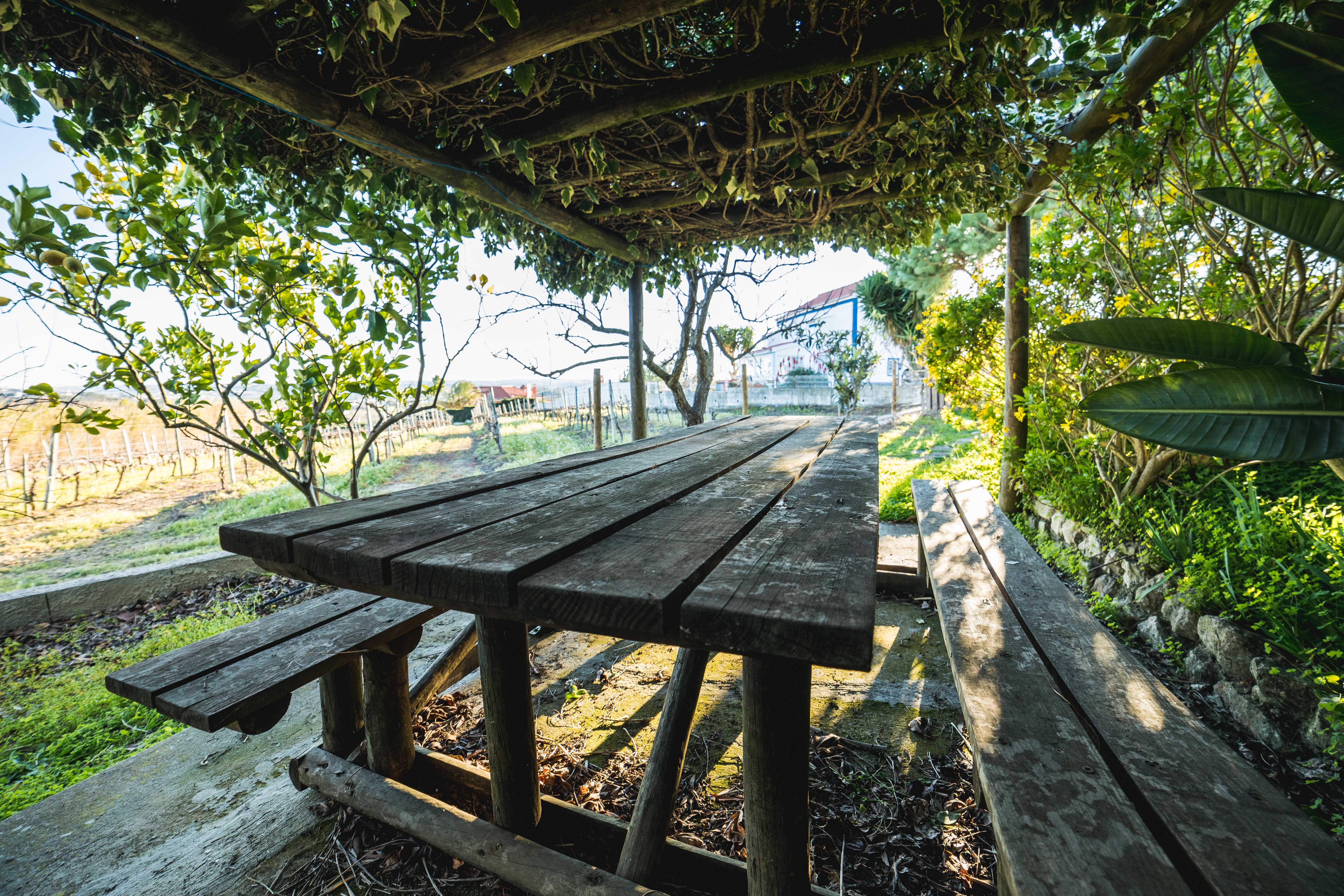 Natuurhuisje in Penedos de Alenquer
