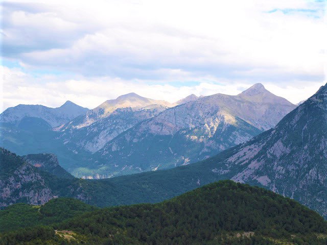 - image: 16