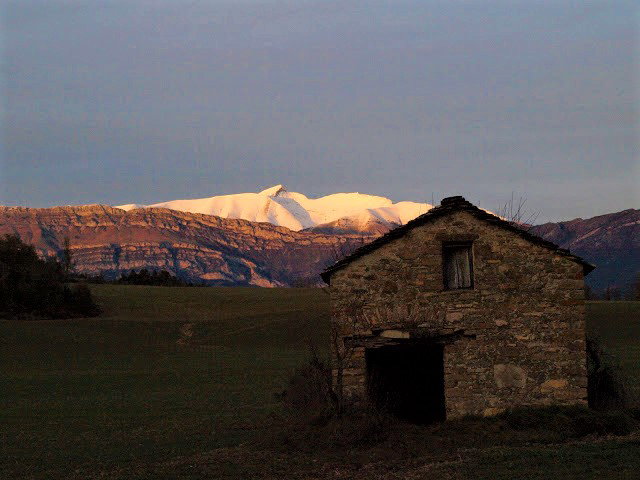 - image: 17