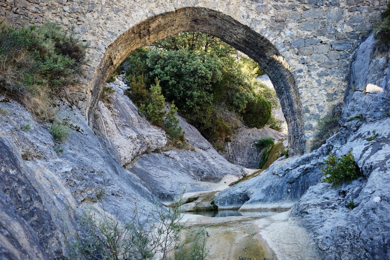- image: 19