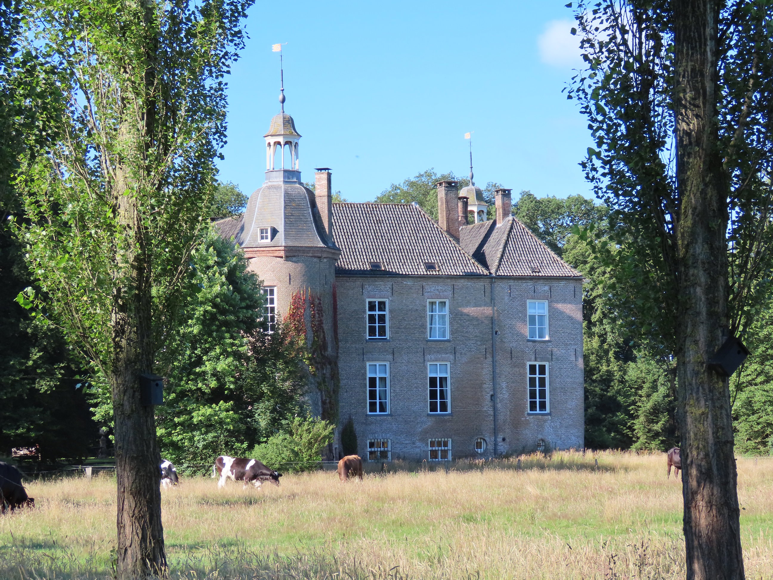- image: 48