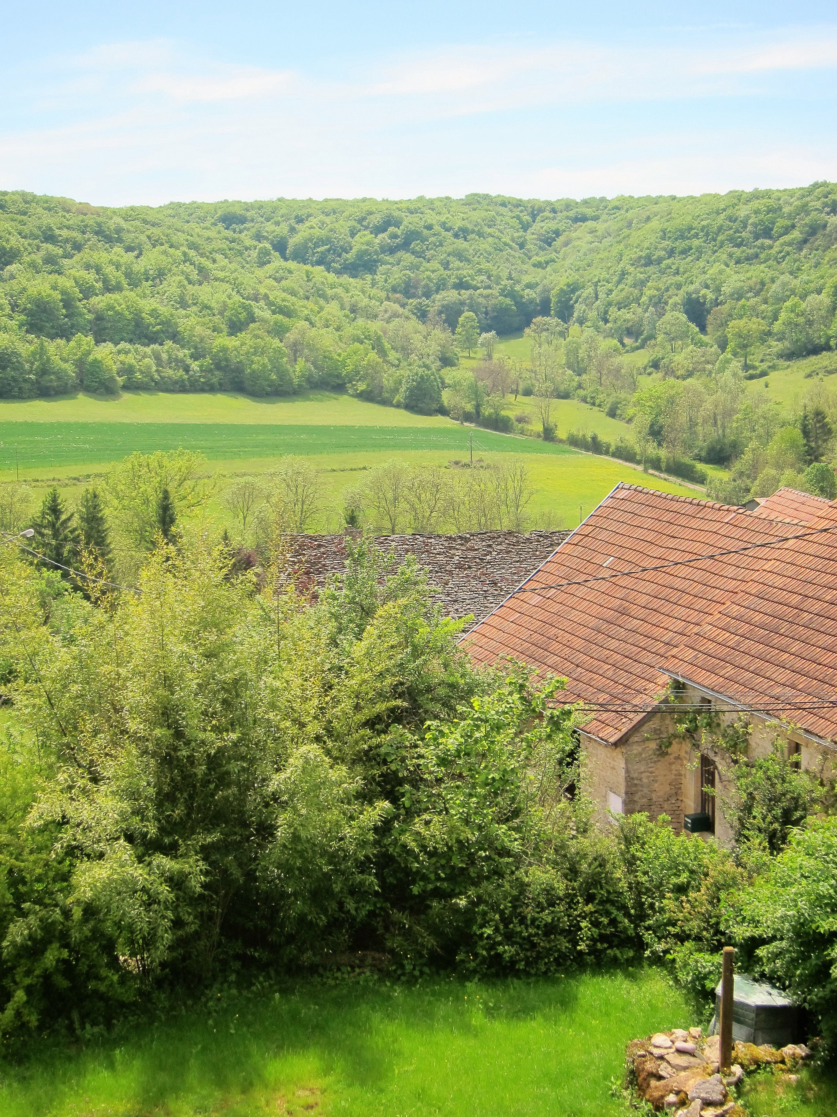- image: 14