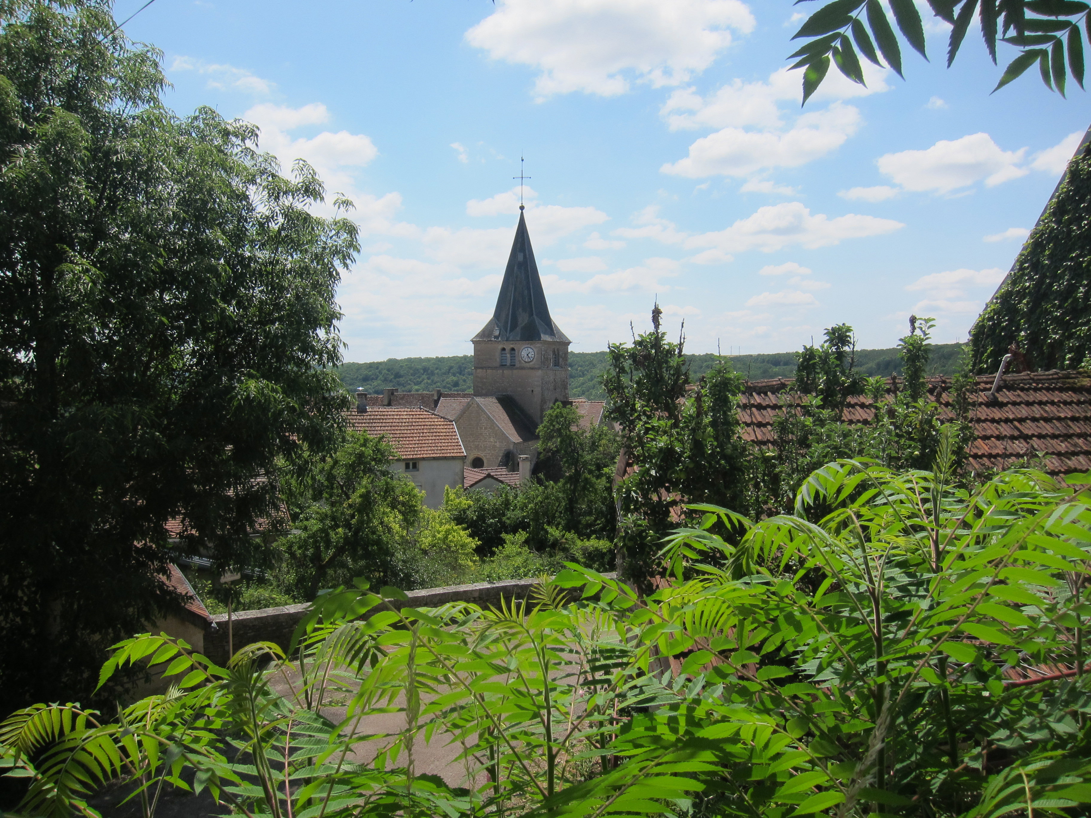 - image: 12