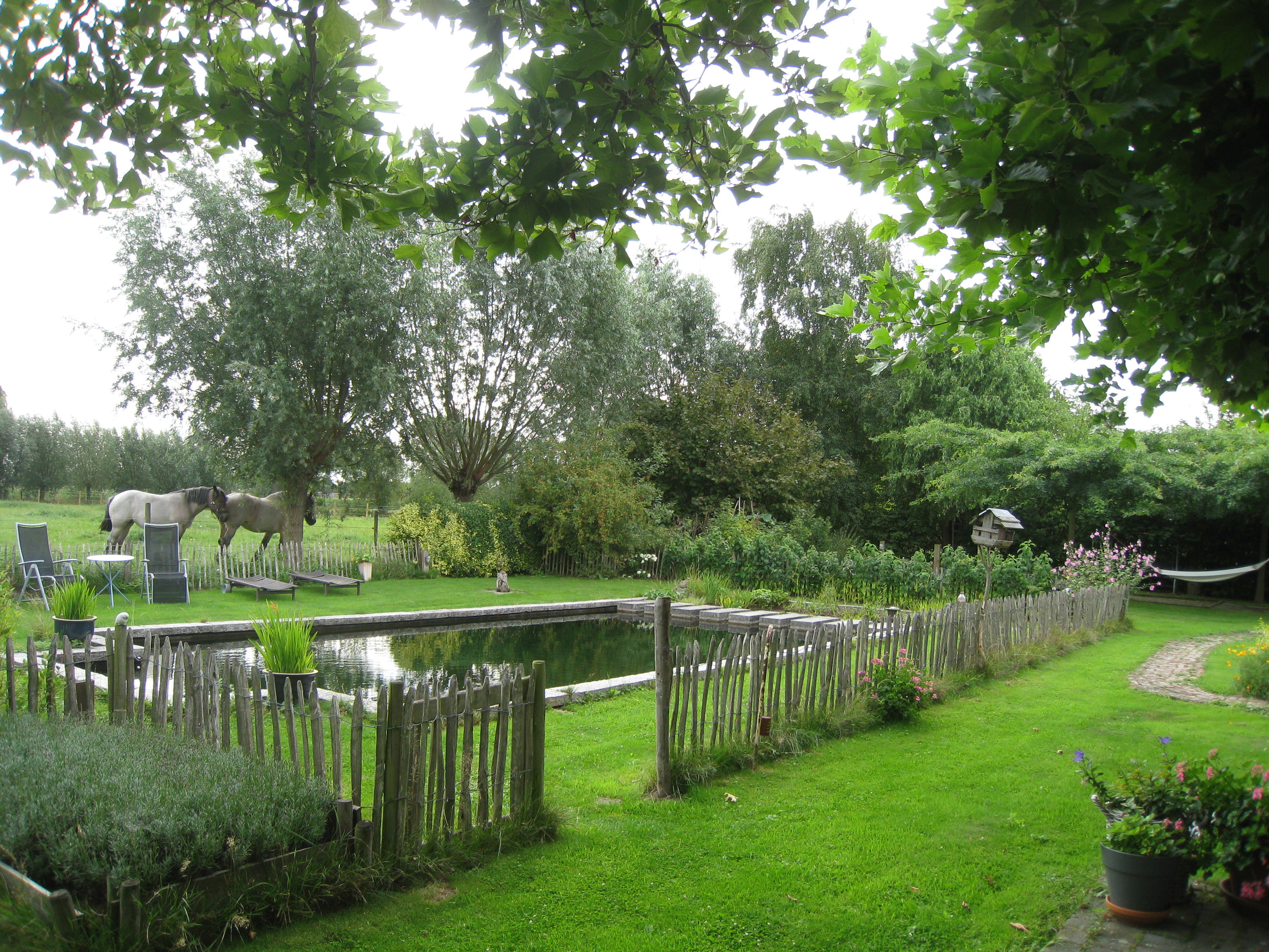 - image: 24