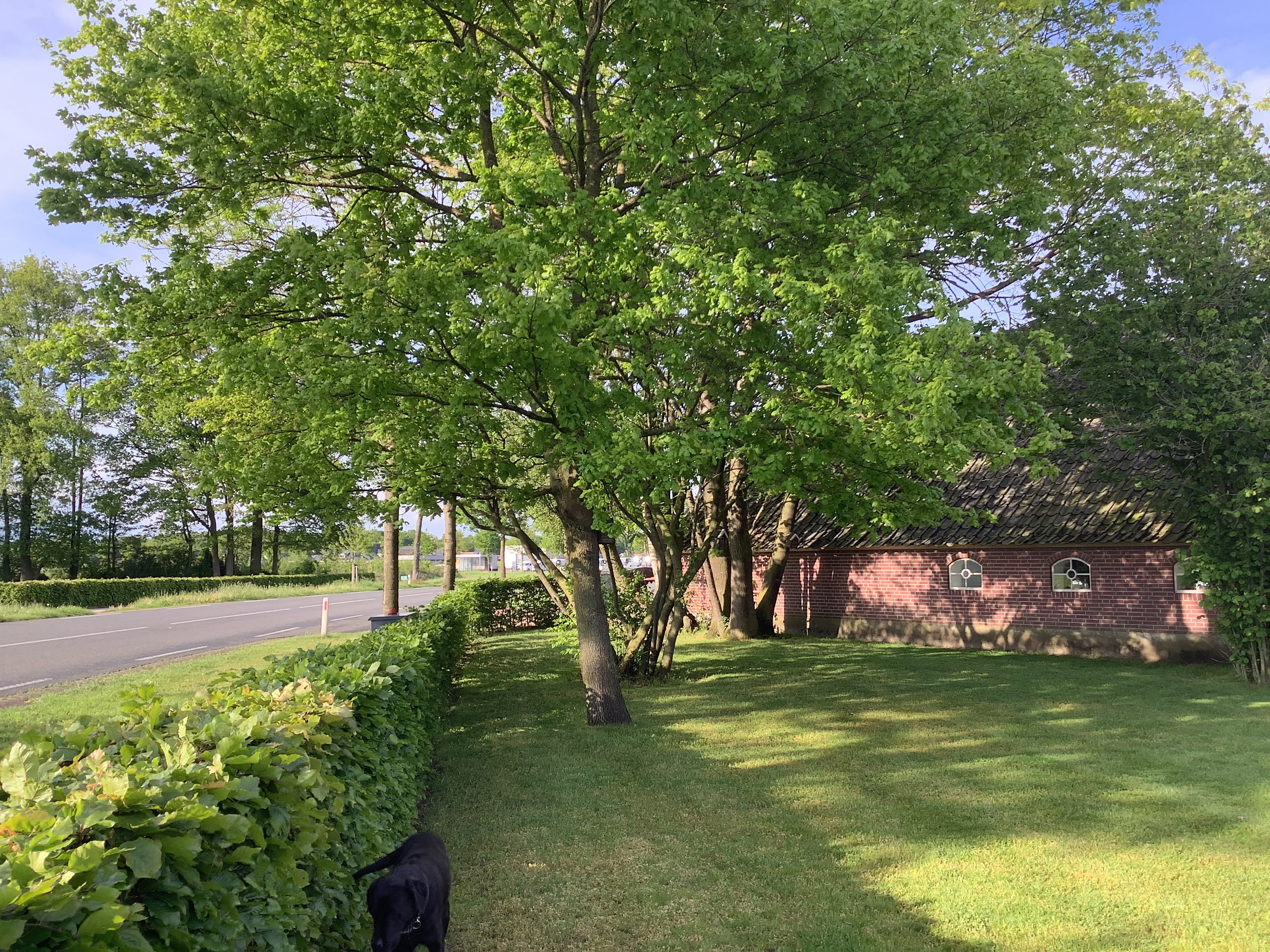 Naturhäuschen in Hengevelde