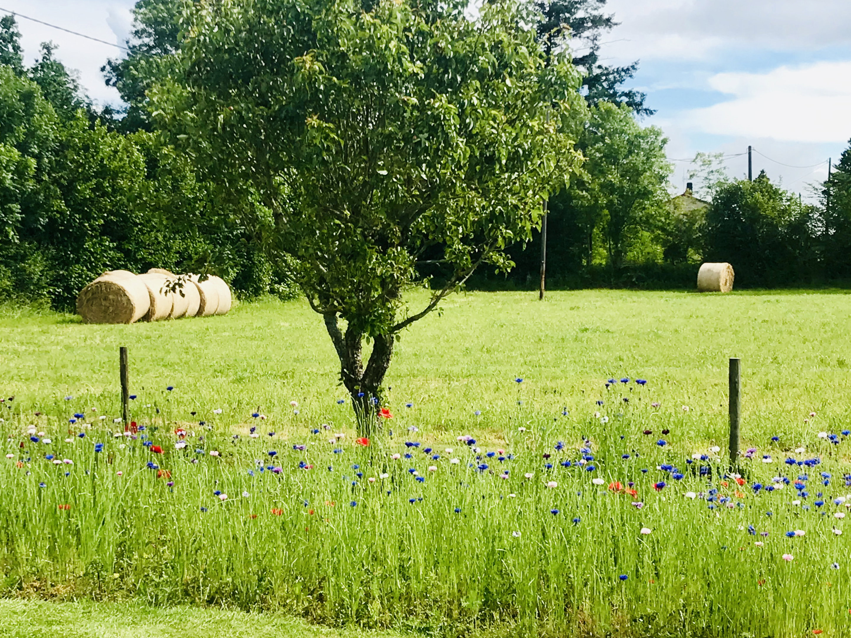 Maison nature à The Chapelle-Saint-Etienne