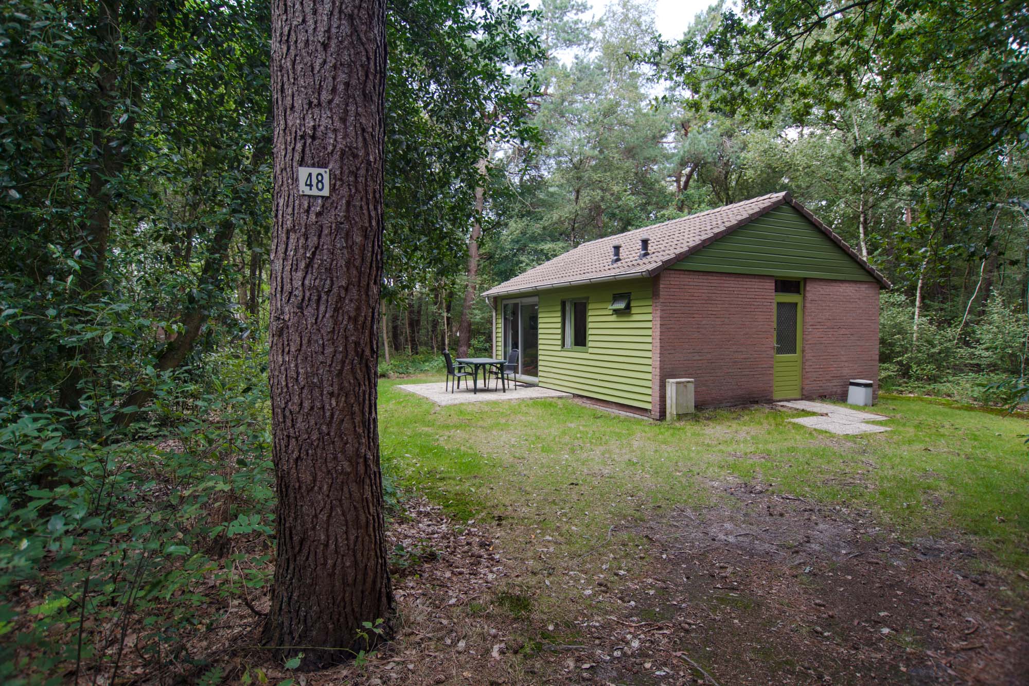 Natuurhuisje in Ruinen