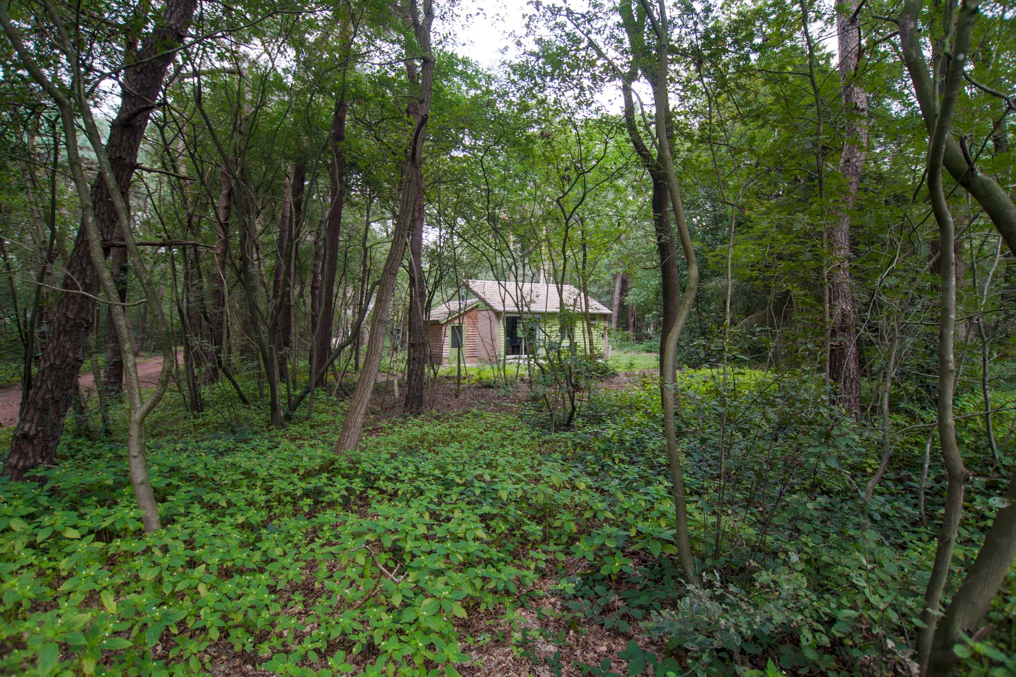 Natuurhuisje in Ruinen