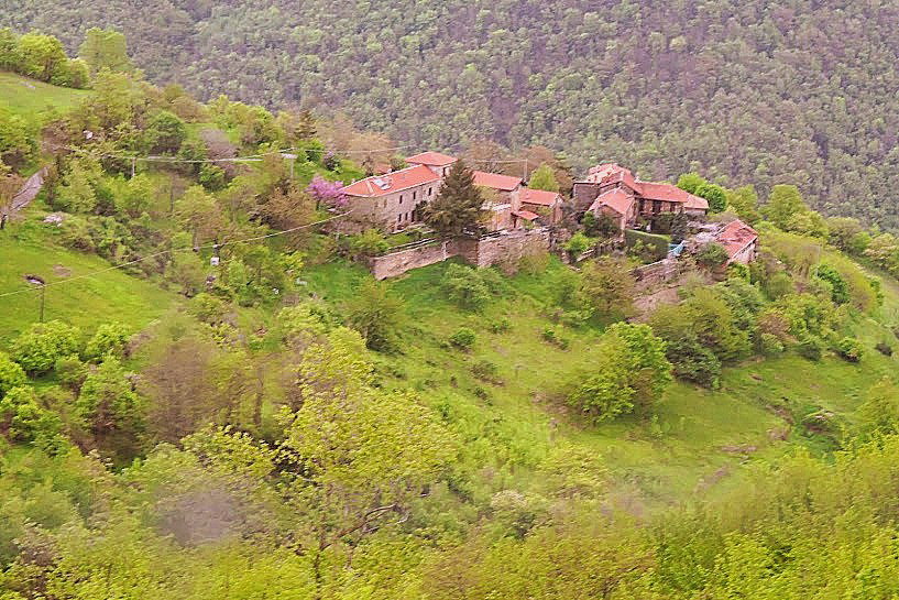 - image: 24
