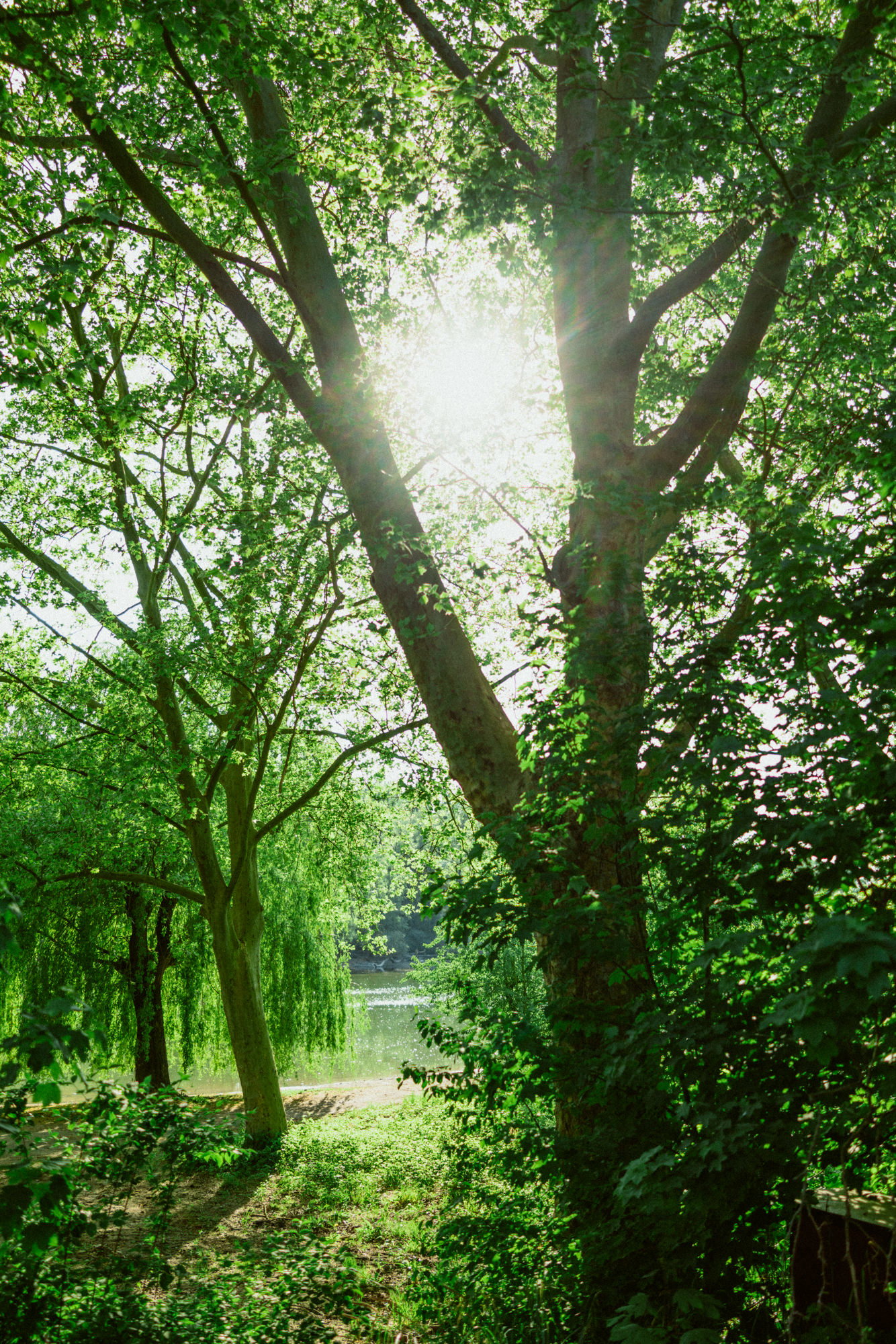 - image: 12