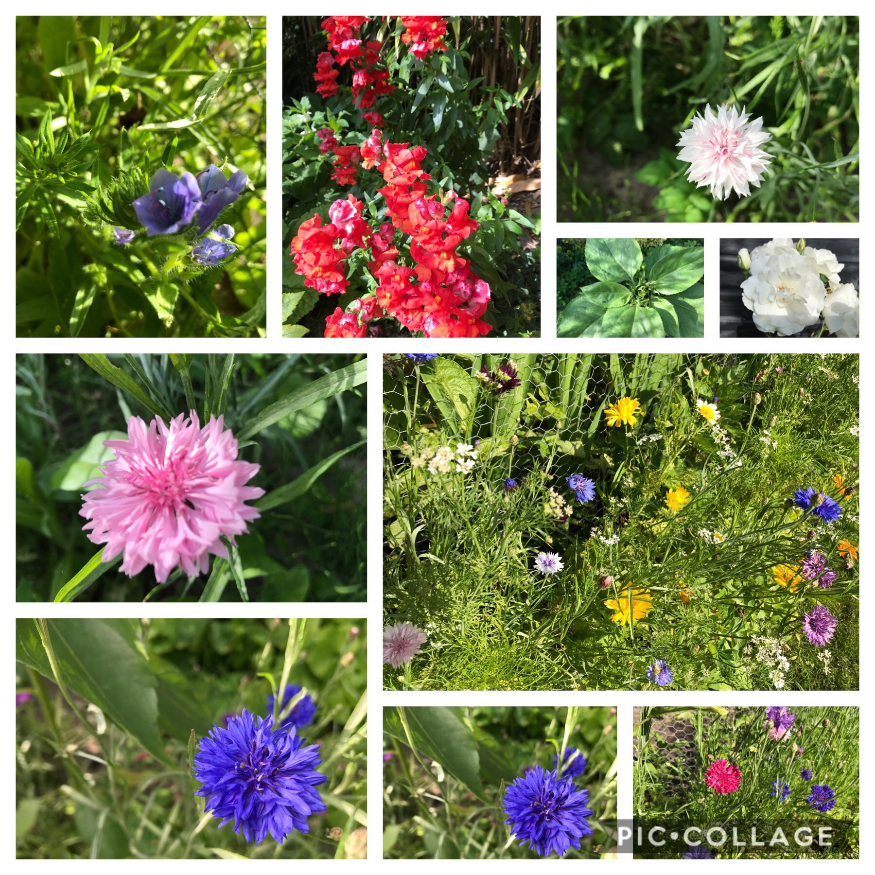Naturhäuschen in Egmond aan den Hoef