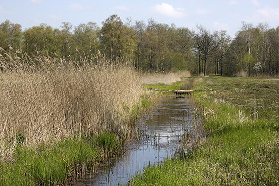 - image: 24