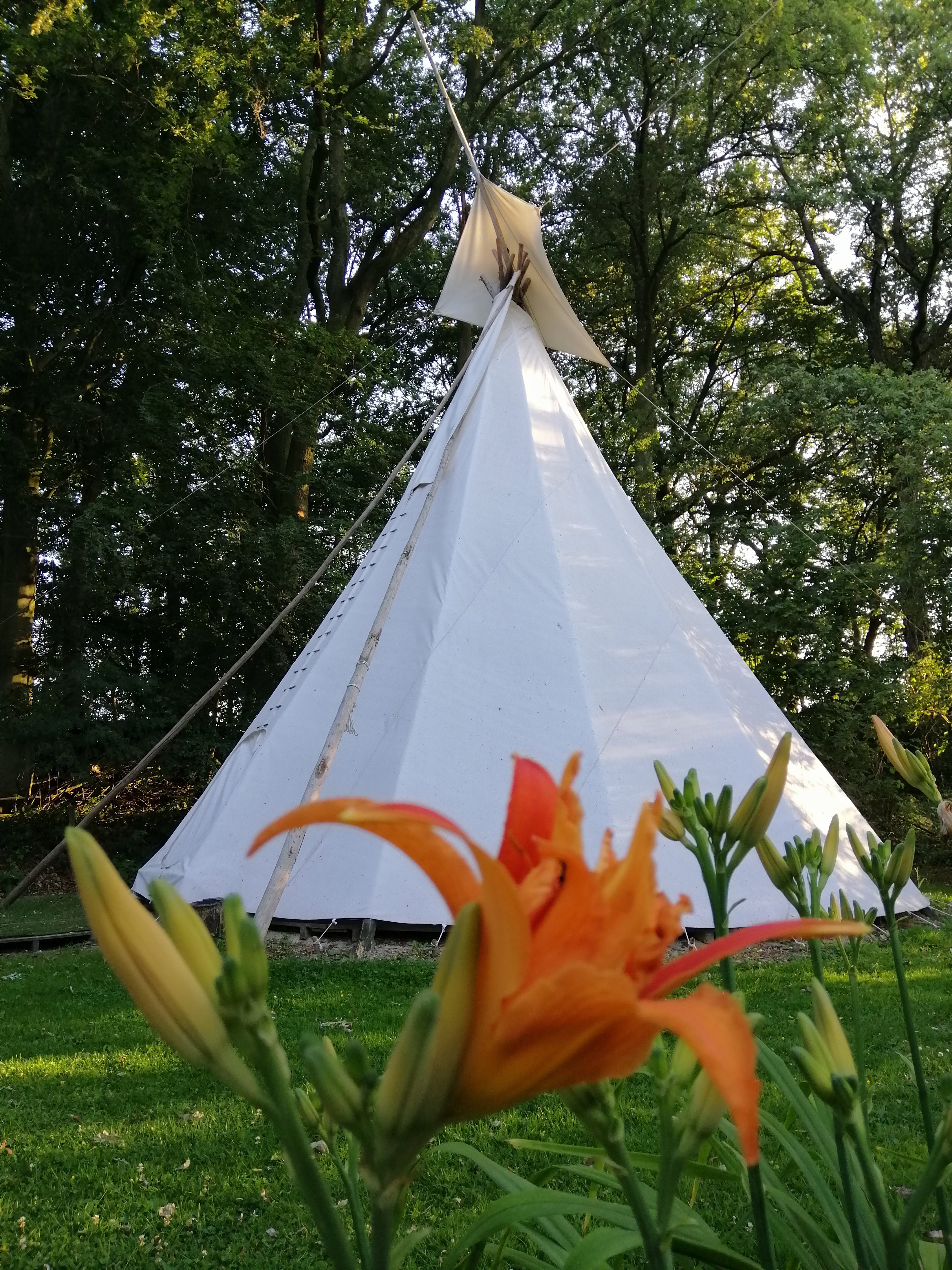Naturhäuschen in Hengelo