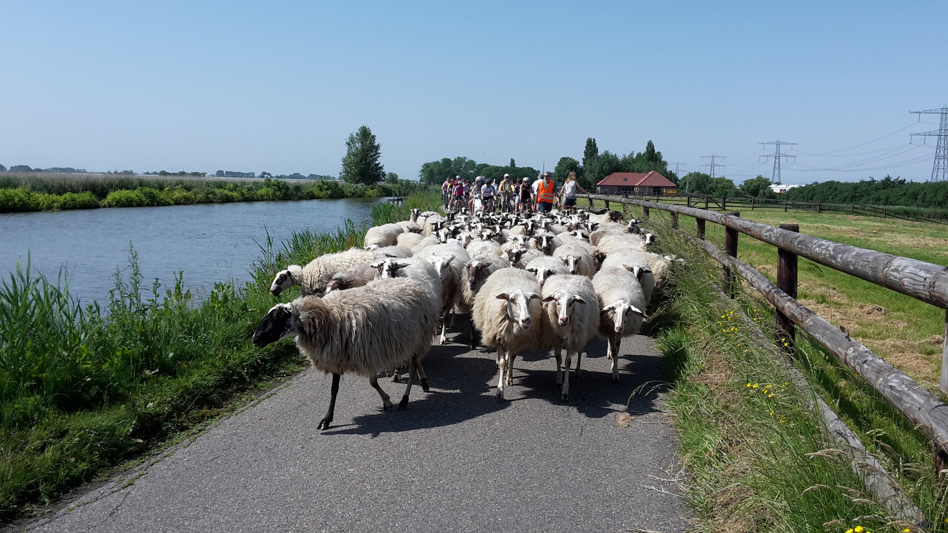 Natuurhuisje in Kwintsheul