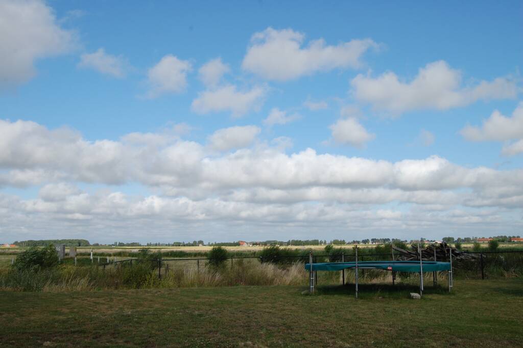 - image: 16