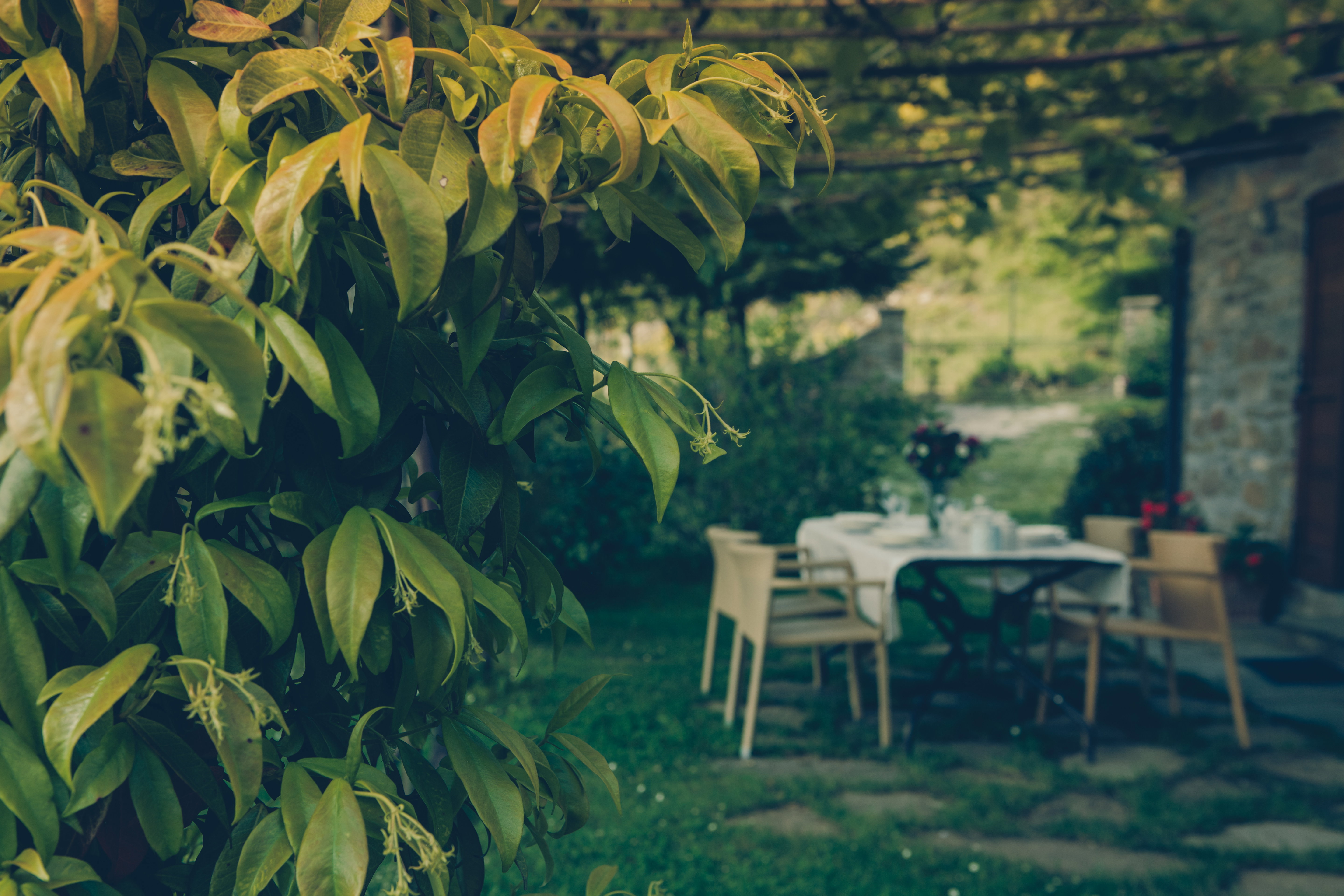 Casa nella natura a Cortona
